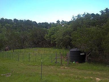350 Bluff RD — photo 3