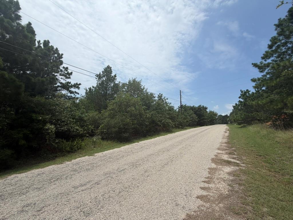 151 Buckhorn DR — photo 3
