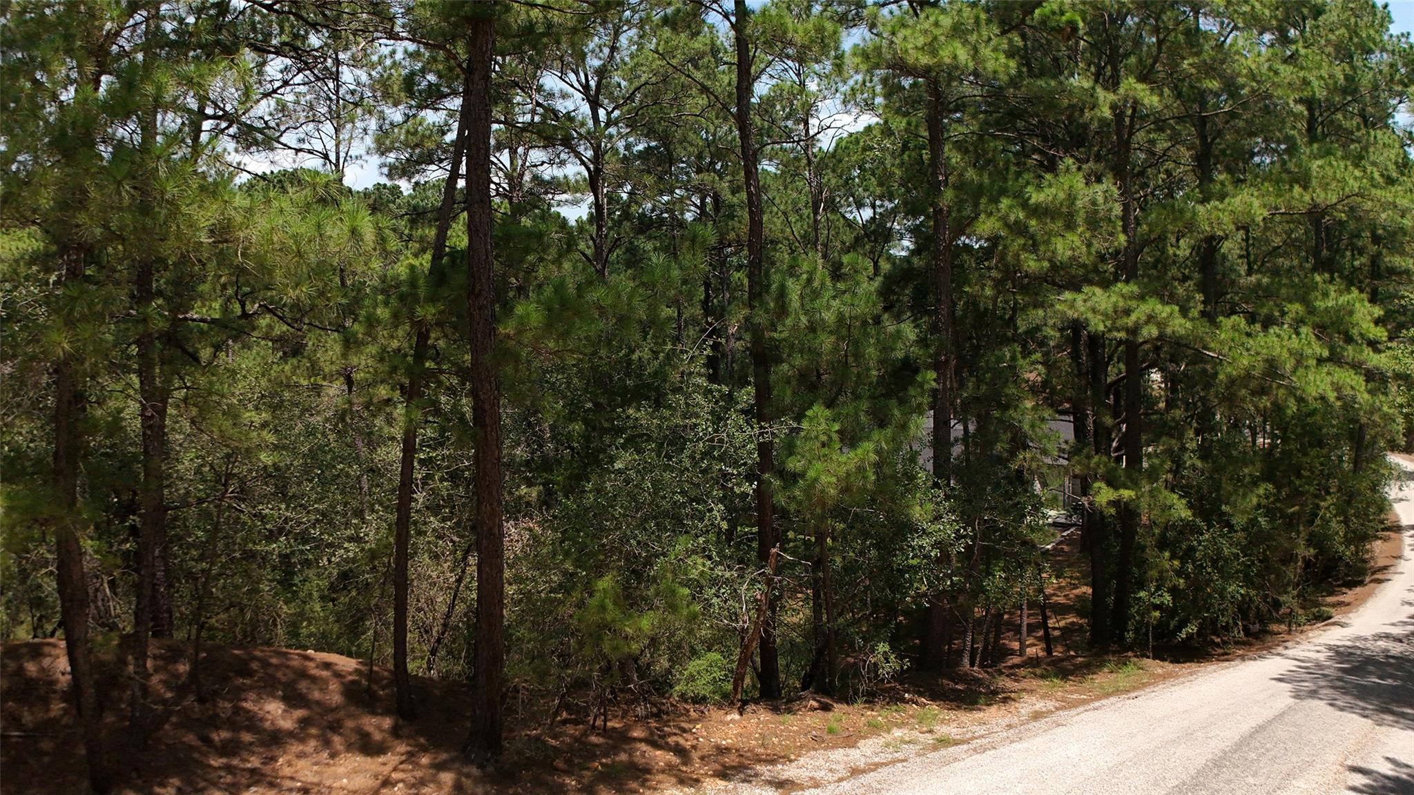 Lot 232 Hekili DR — photo 3