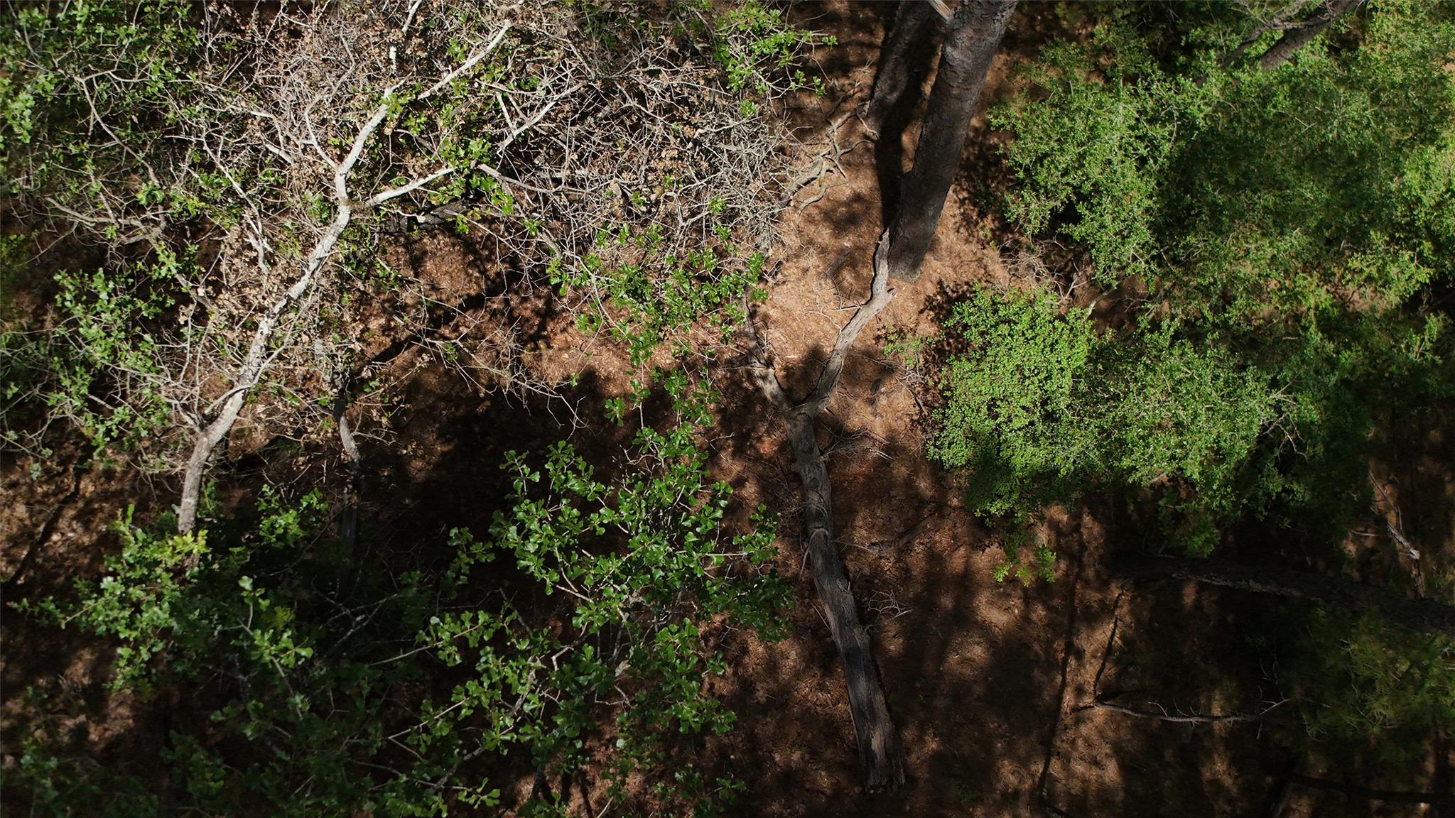 Lot 232 Hekili DR — photo 4