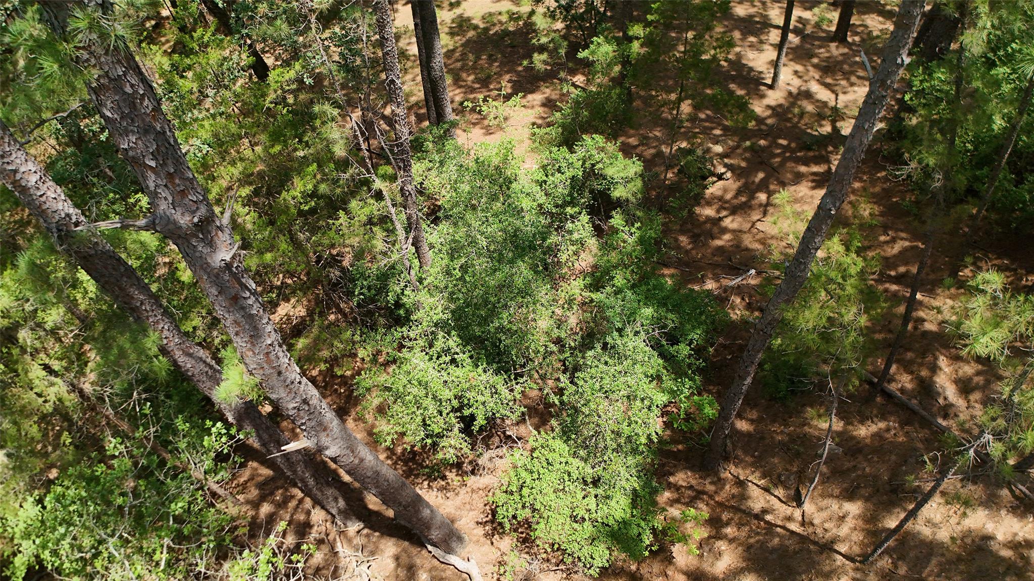 Lot 232 Hekili DR — photo 5