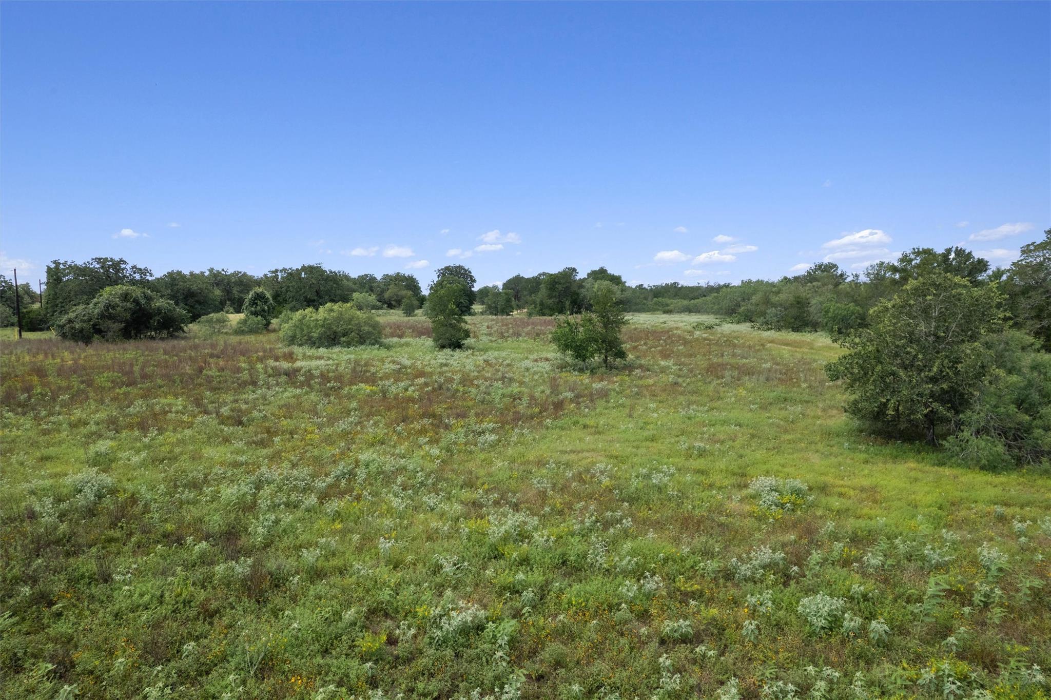 000 Josie LN — photo 4