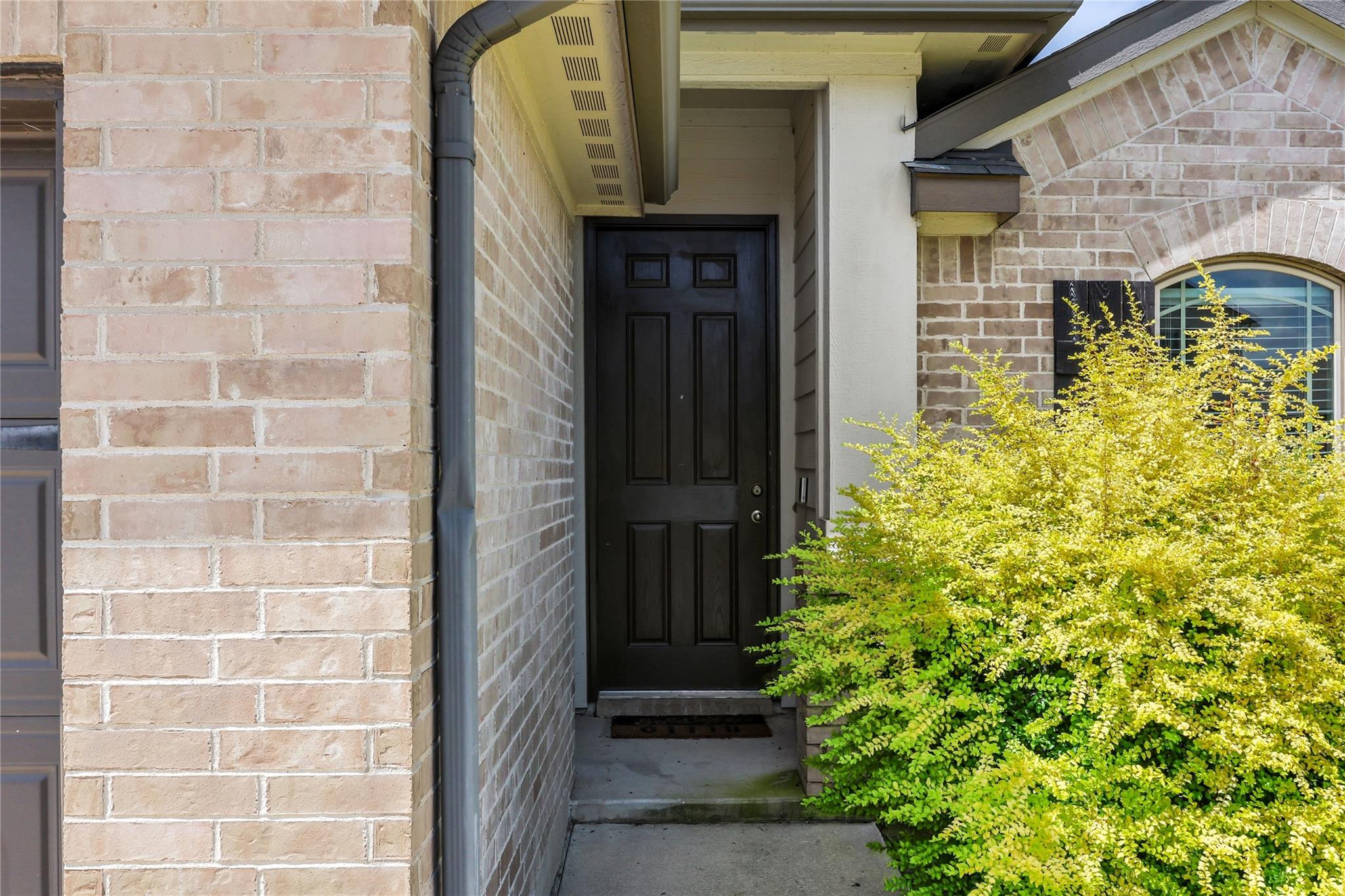 12405 Amber Lynn PATH — photo 4
