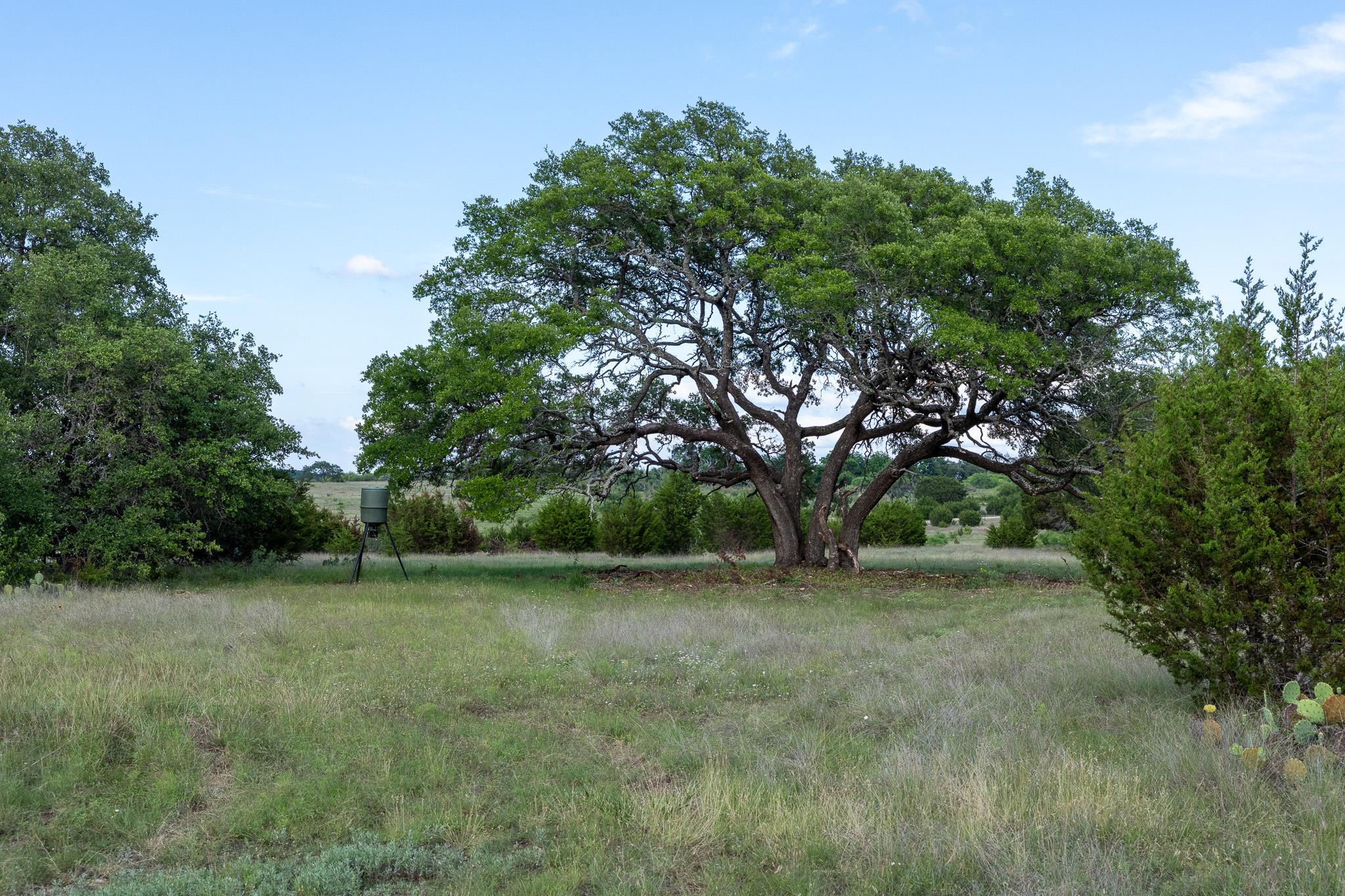Lot 3 Bluestem LN — photo 4