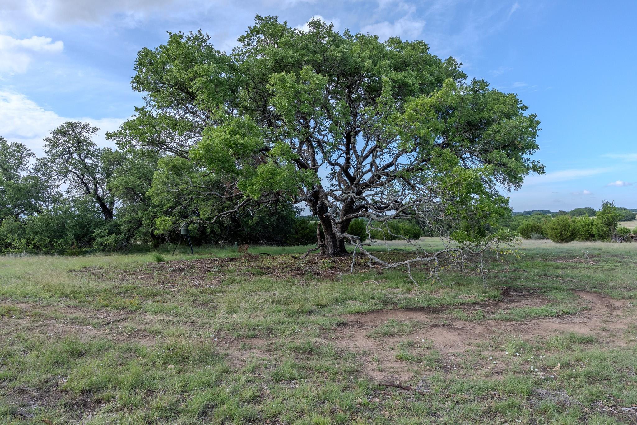 Lot 3 Bluestem LN — photo 5