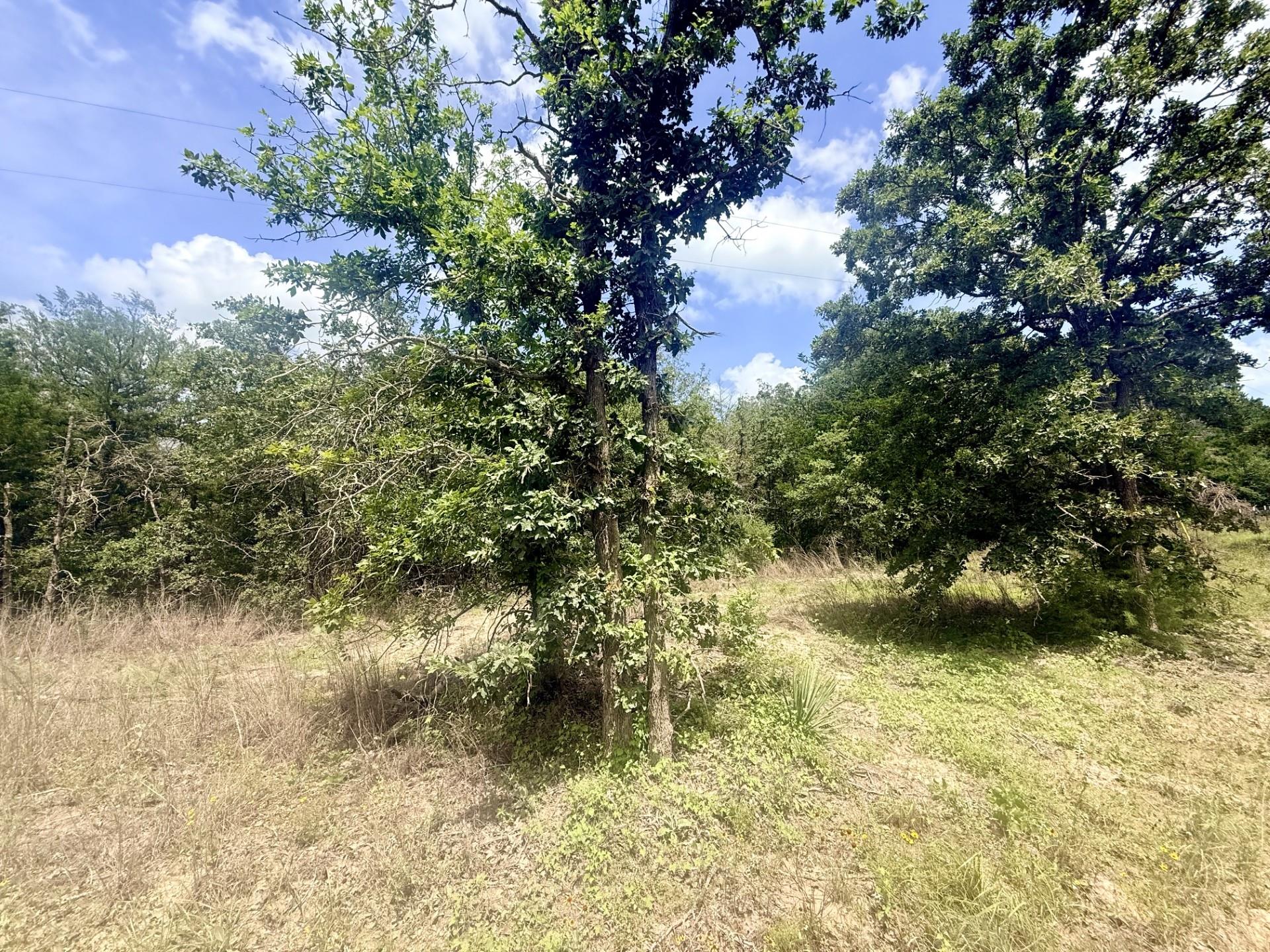 TBD County Road 337 — photo 3