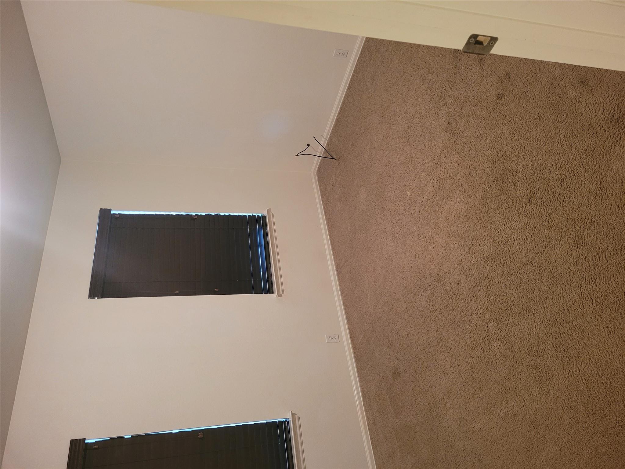433 Moorhen CV — photo 4