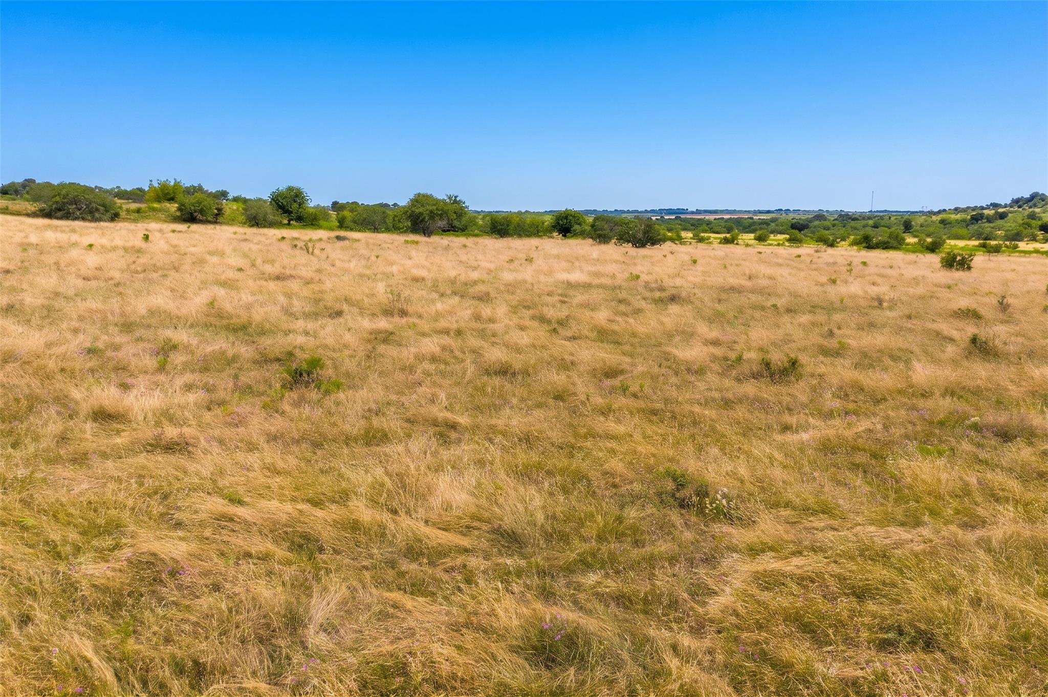1854 LOT 4 County Road 104 — photo 5