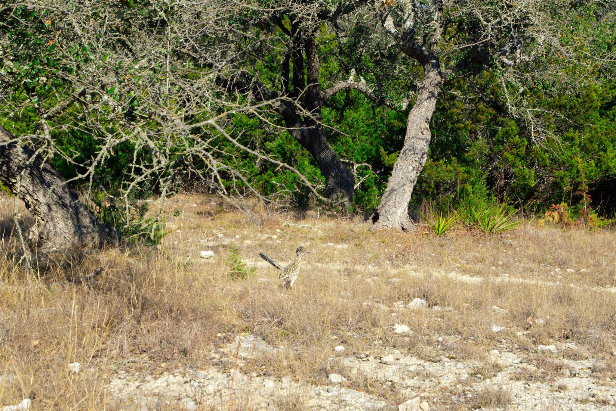 101 Mystic Overlook DR — photo 4
