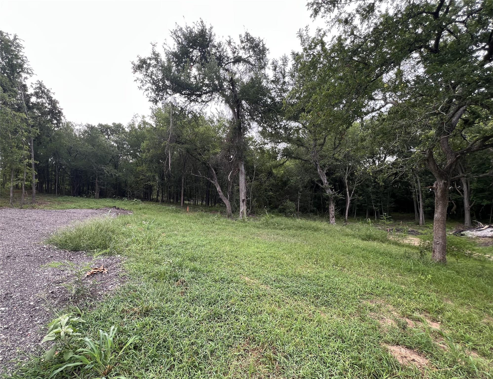 TBD FM 3000 Tract 1 — photo 5