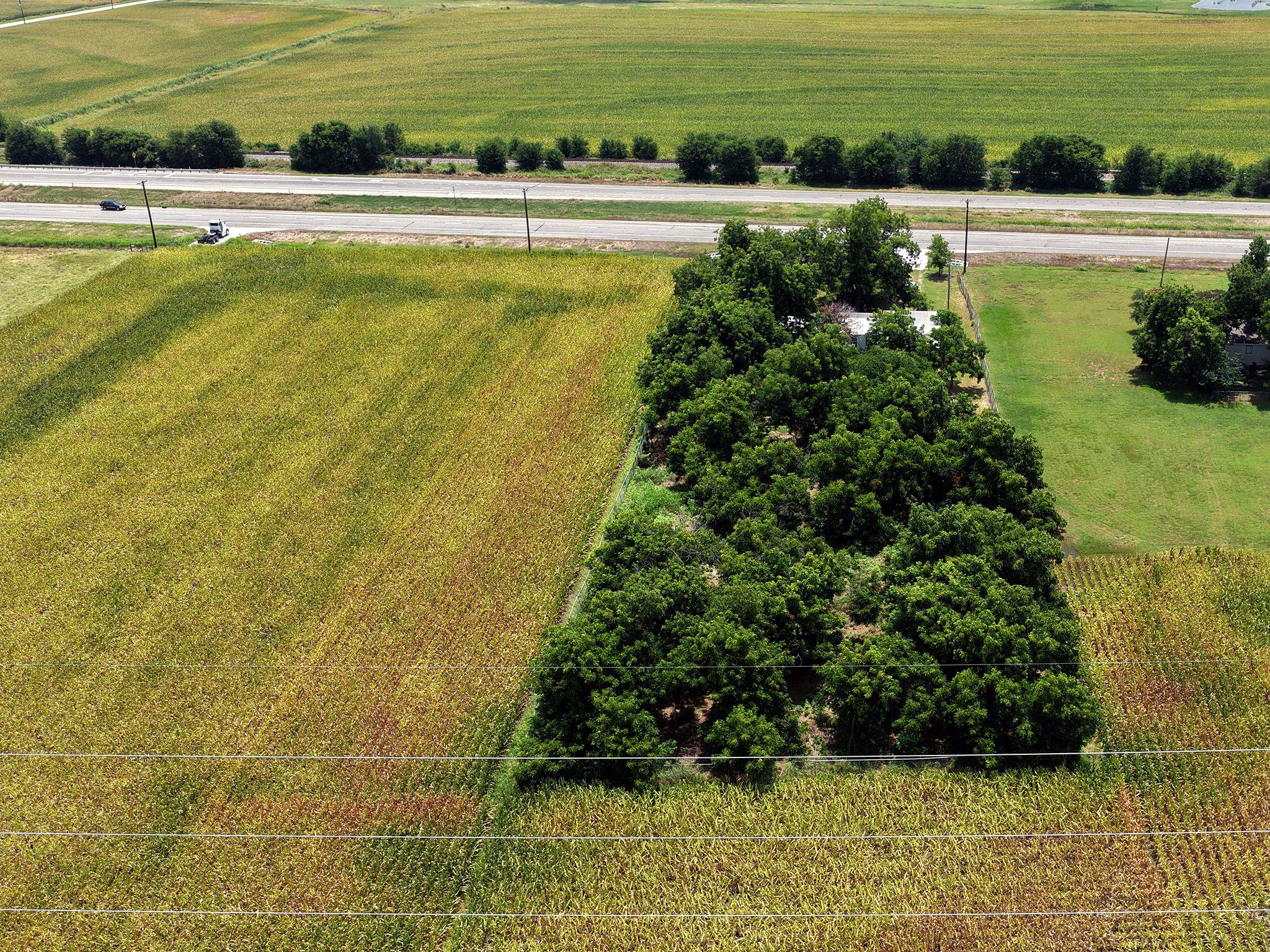 22555 State Highway 79 Highway — photo 3
