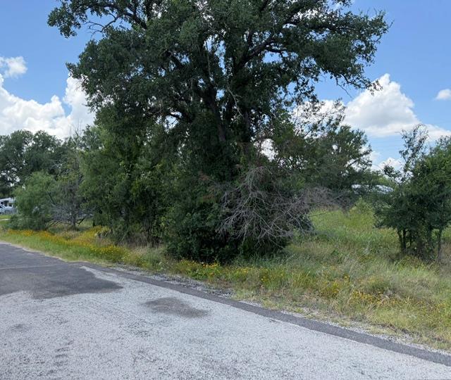 3523 Cactus TRL — photo 3