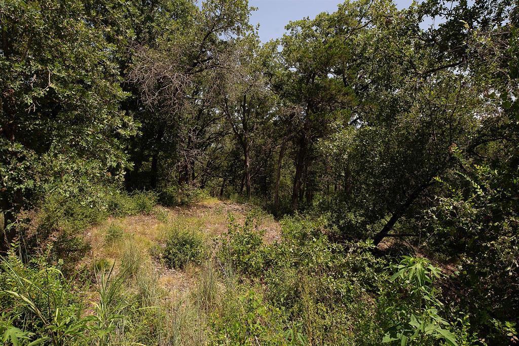 TBD Post Oak Rim DR — photo 5