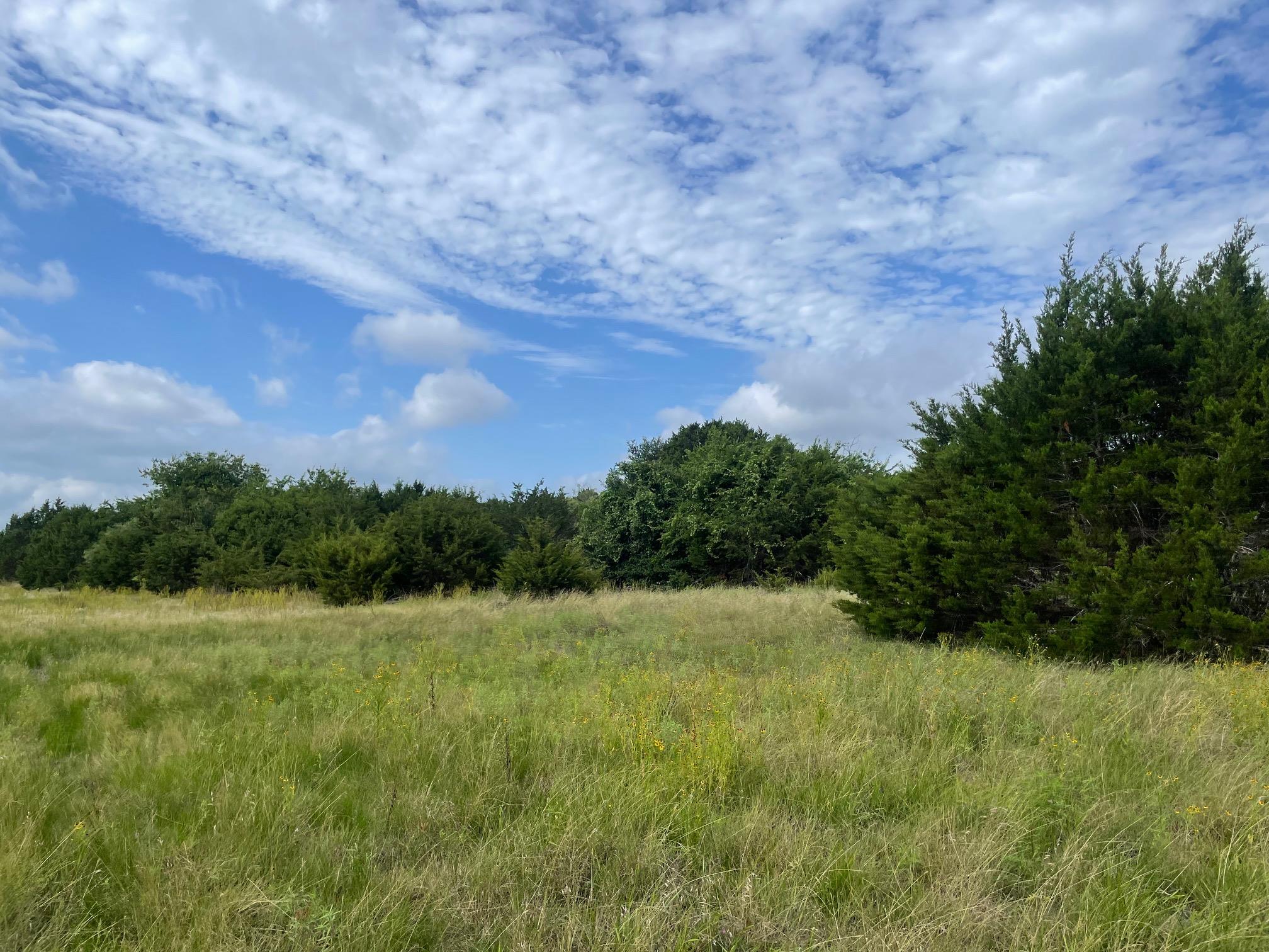 TBD County Road 206 — photo 4