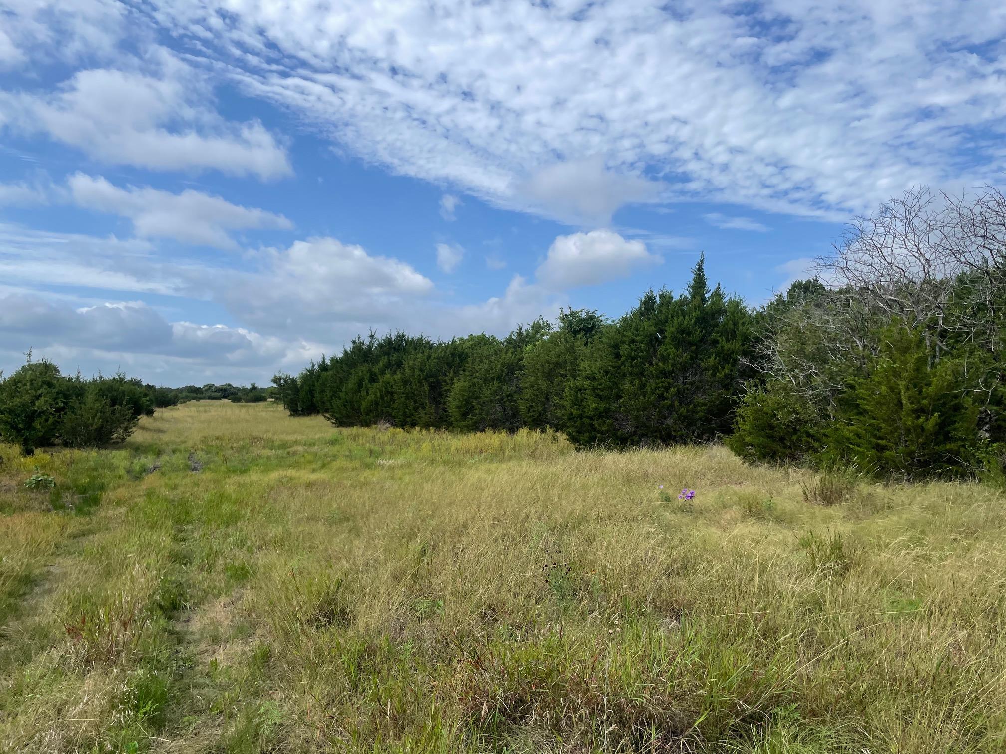 TBD County Road 206 — photo 5