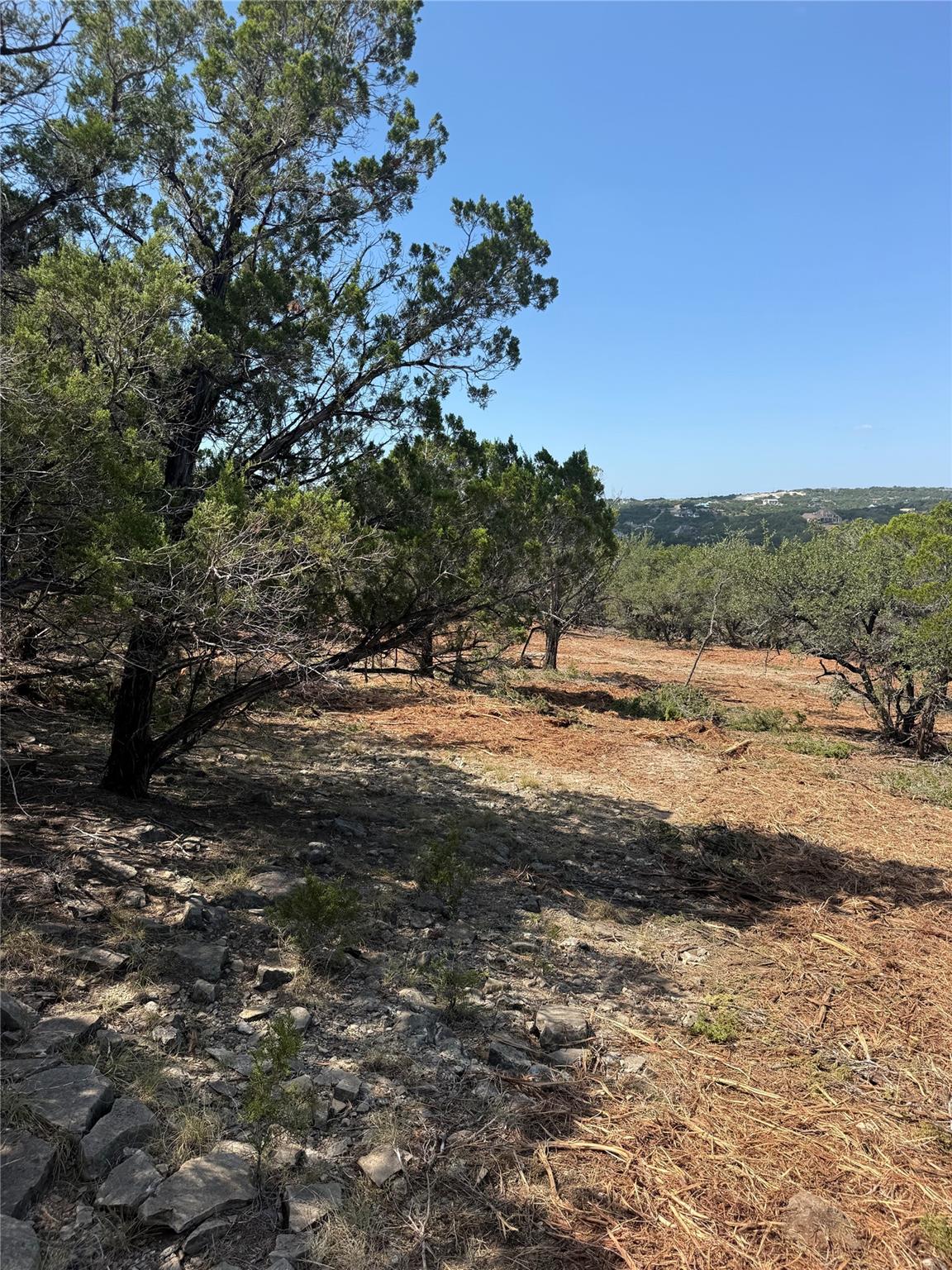 0000 Bee Creek RD — photo 3