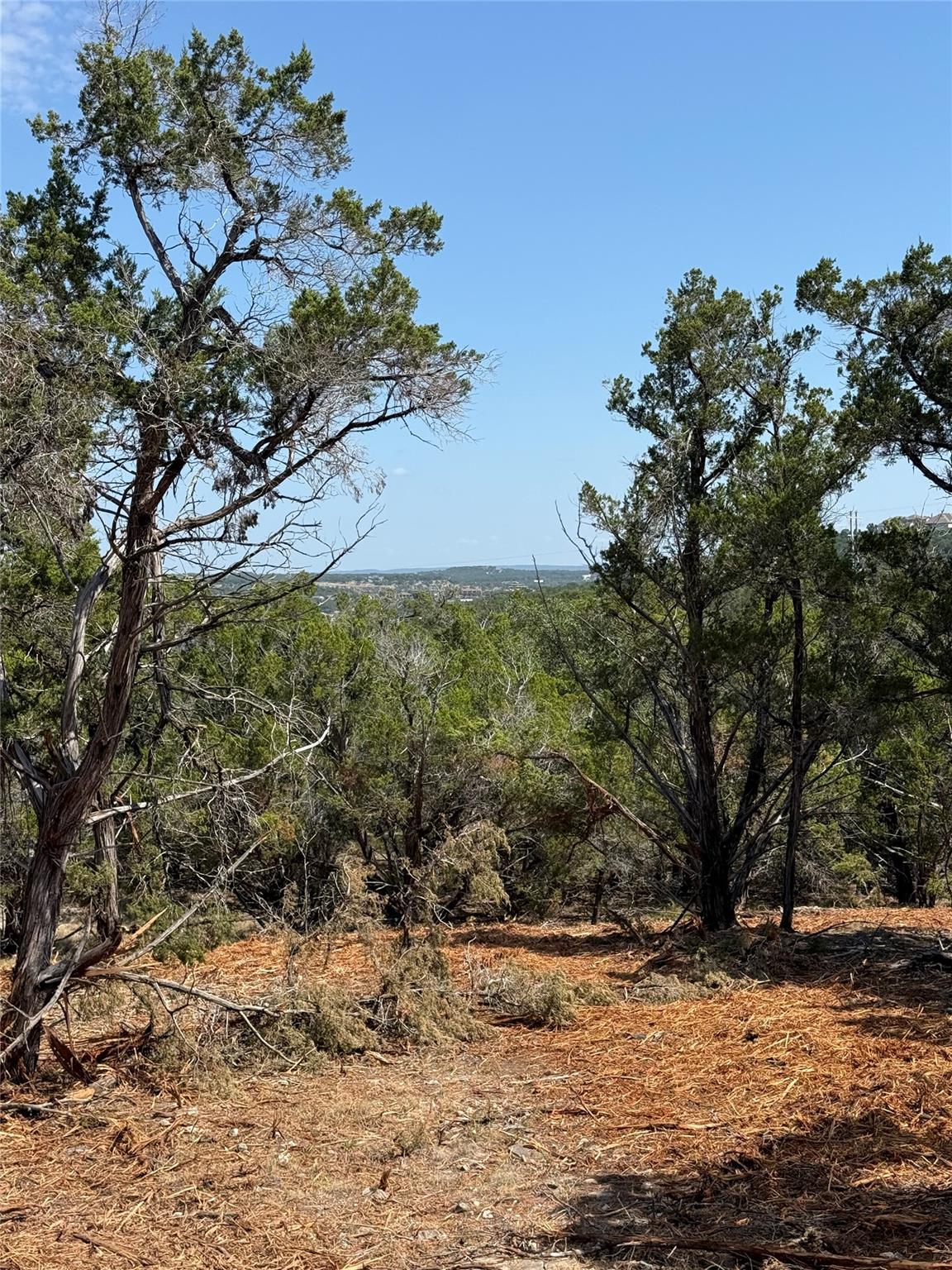 0000 Bee Creek RD — photo 4
