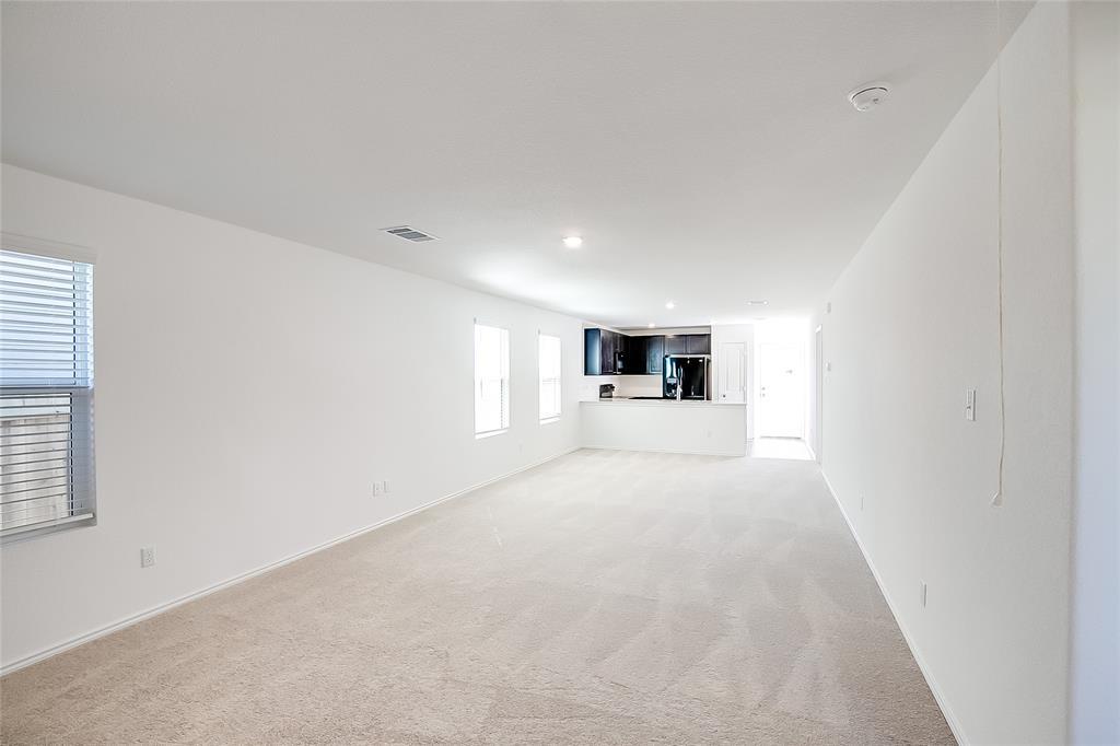 1133 Largemouth LN — photo 5