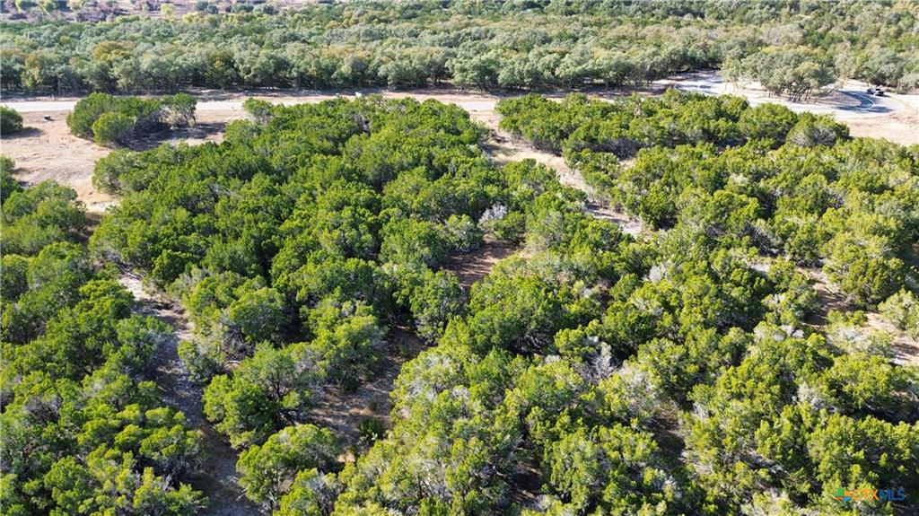 1914 (Lot 9) Woodford CT — photo 4