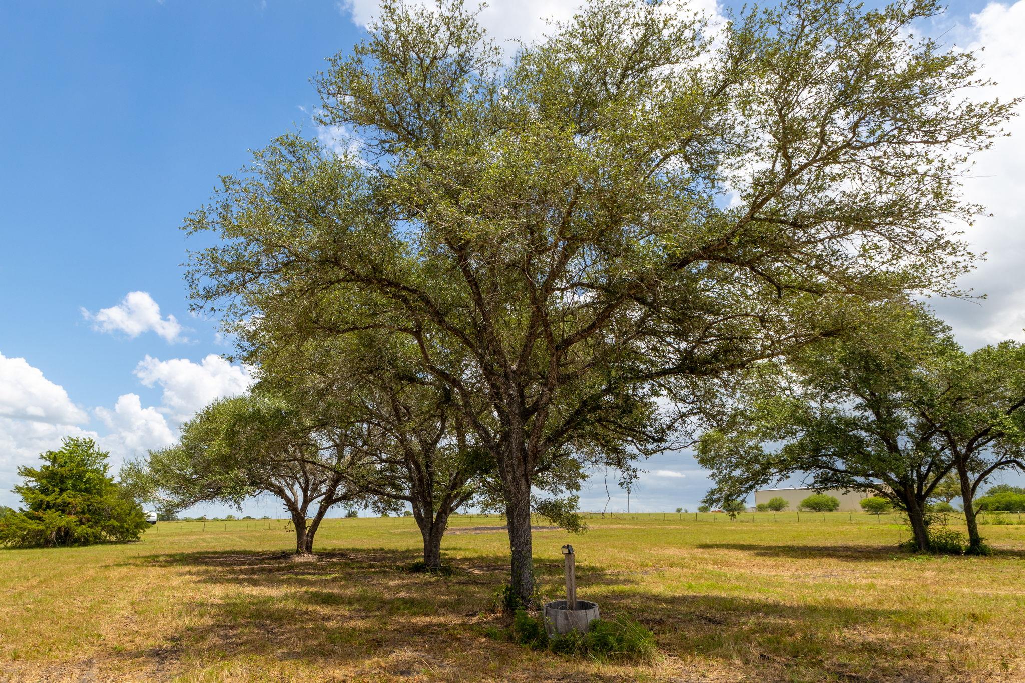 1021 Old Hallettsville RD