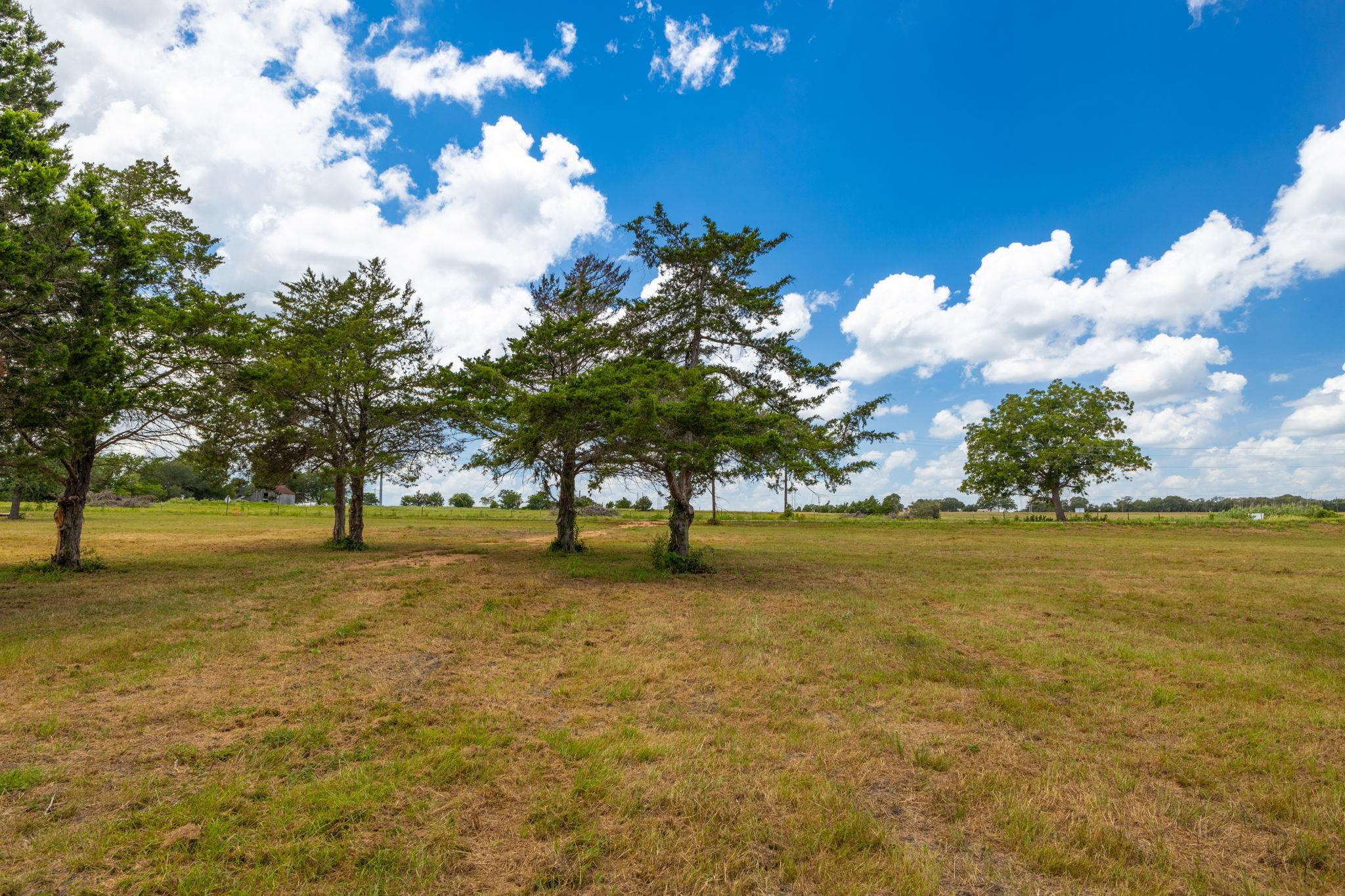 1021 Old Hallettsville RD — photo 4