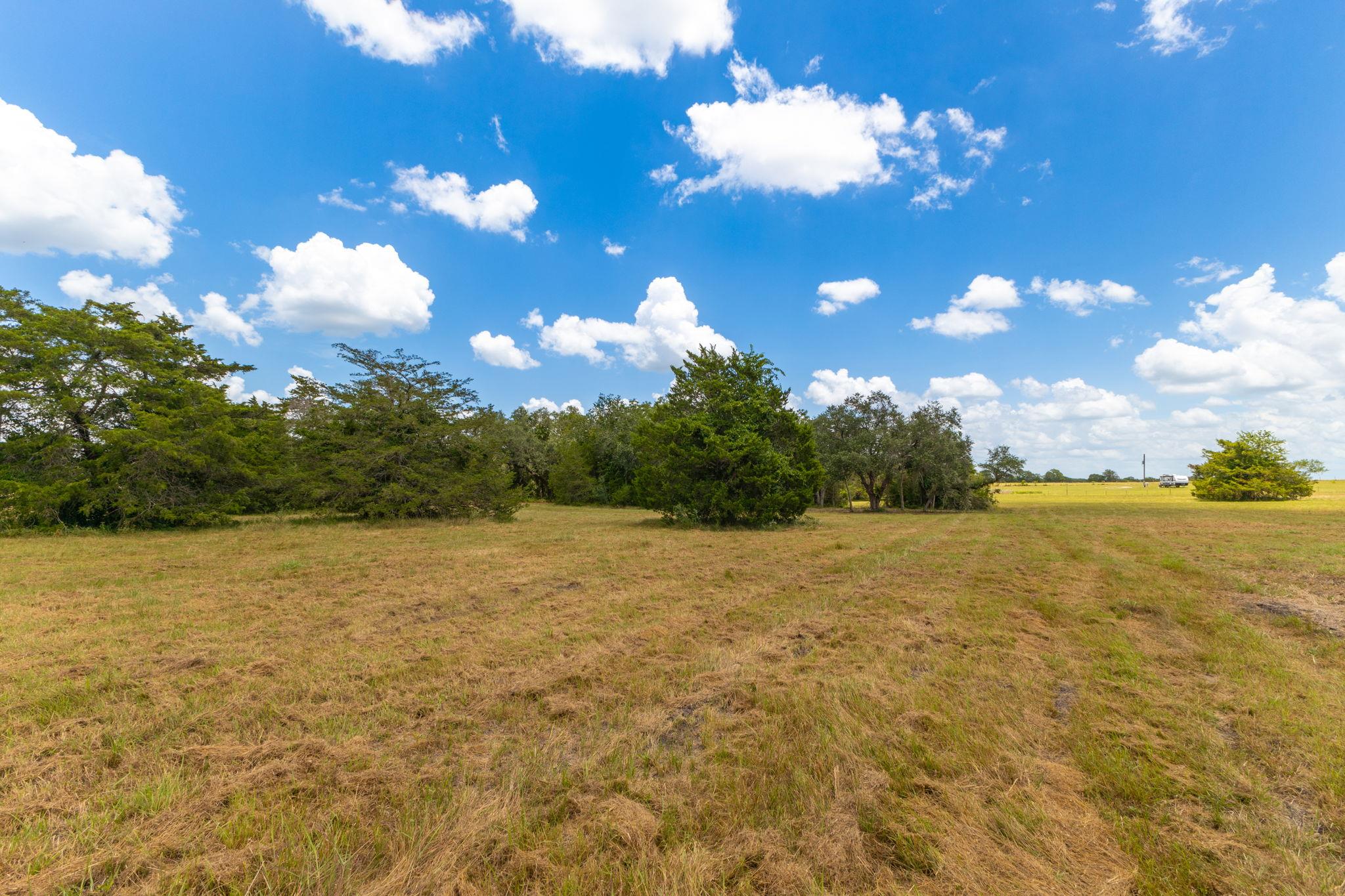 1021 Old Hallettsville RD — photo 5