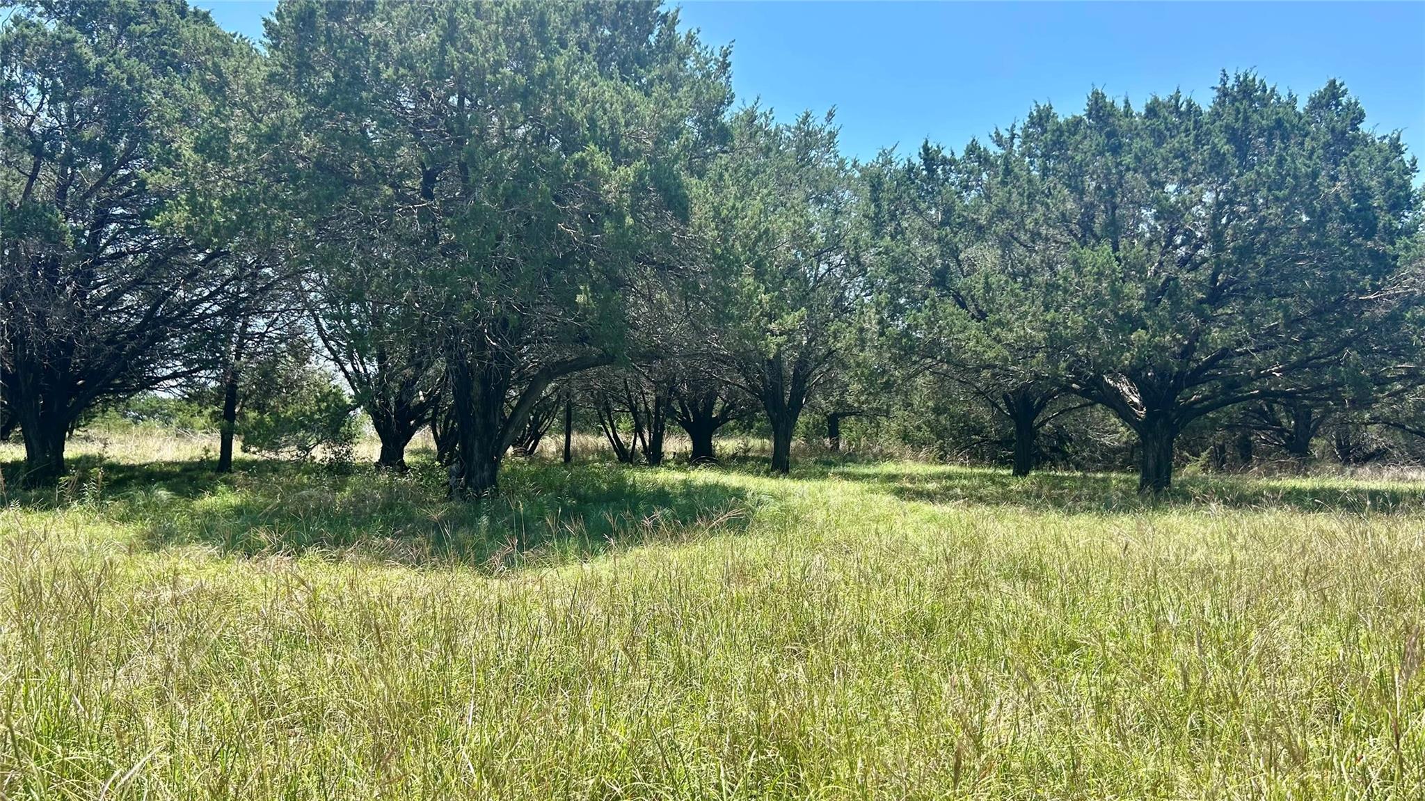 338 County Road 340 — photo 5