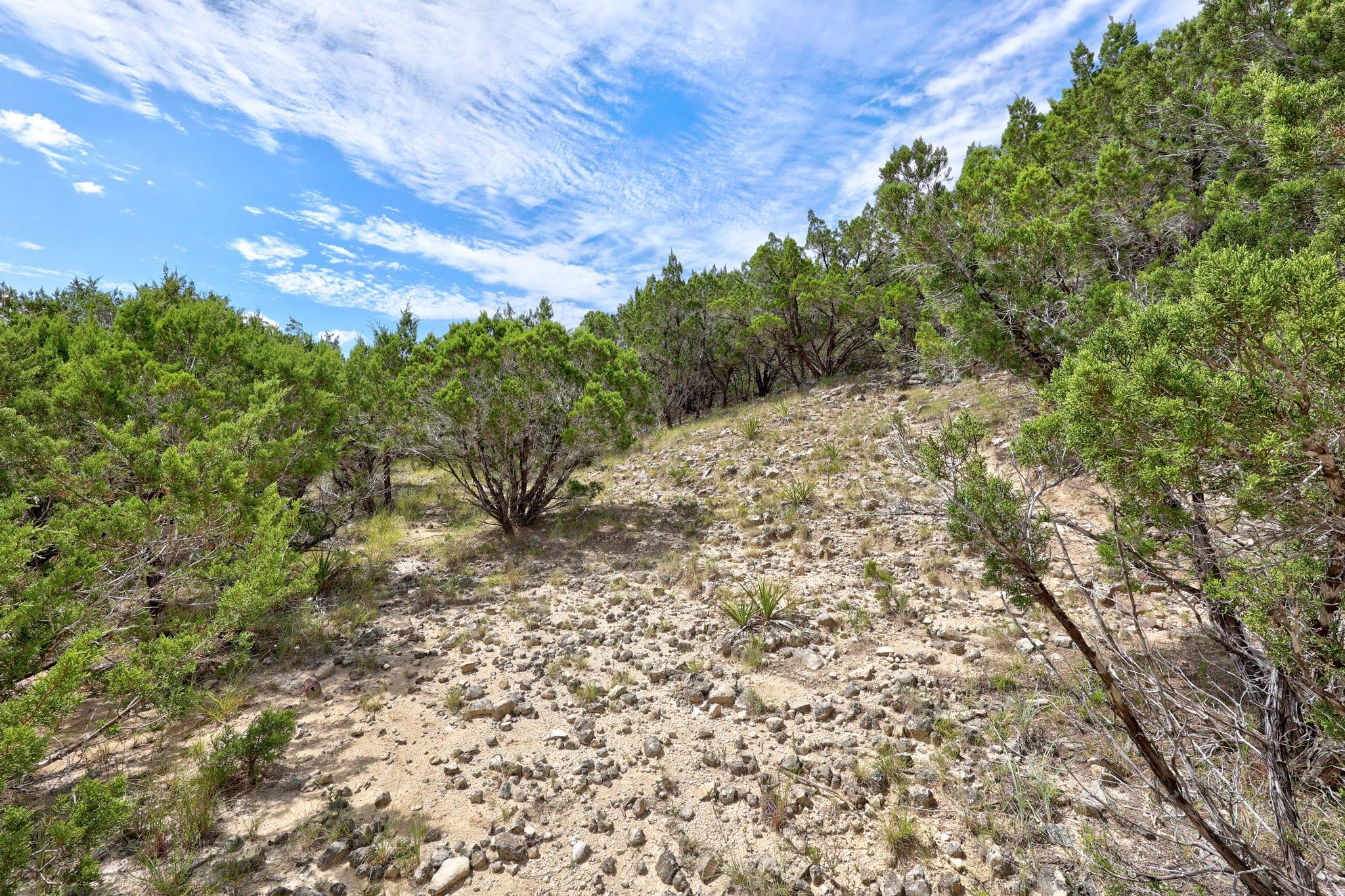 20801 Leaning Oak DR — photo 4