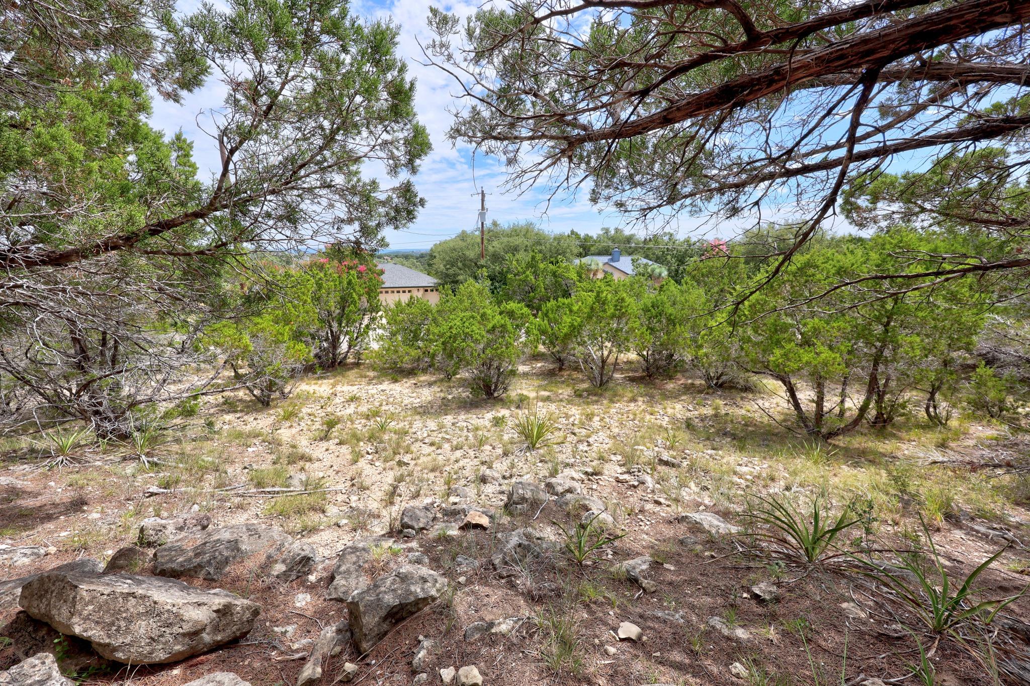 20801 Leaning Oak DR — photo 5