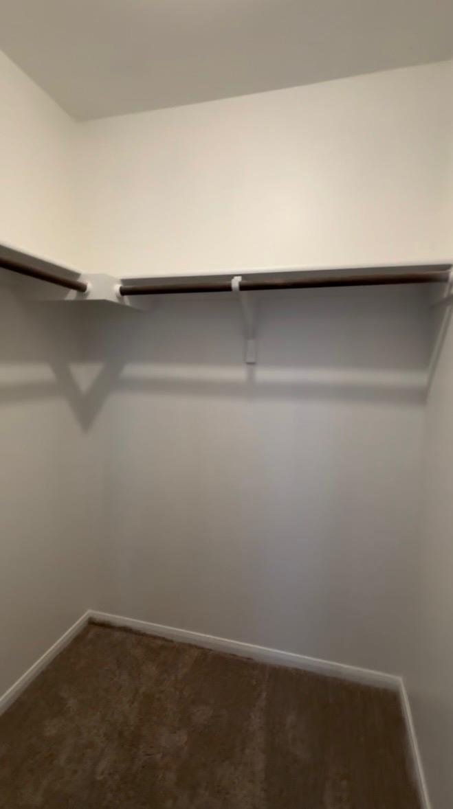 137 Rafe CT — photo 5