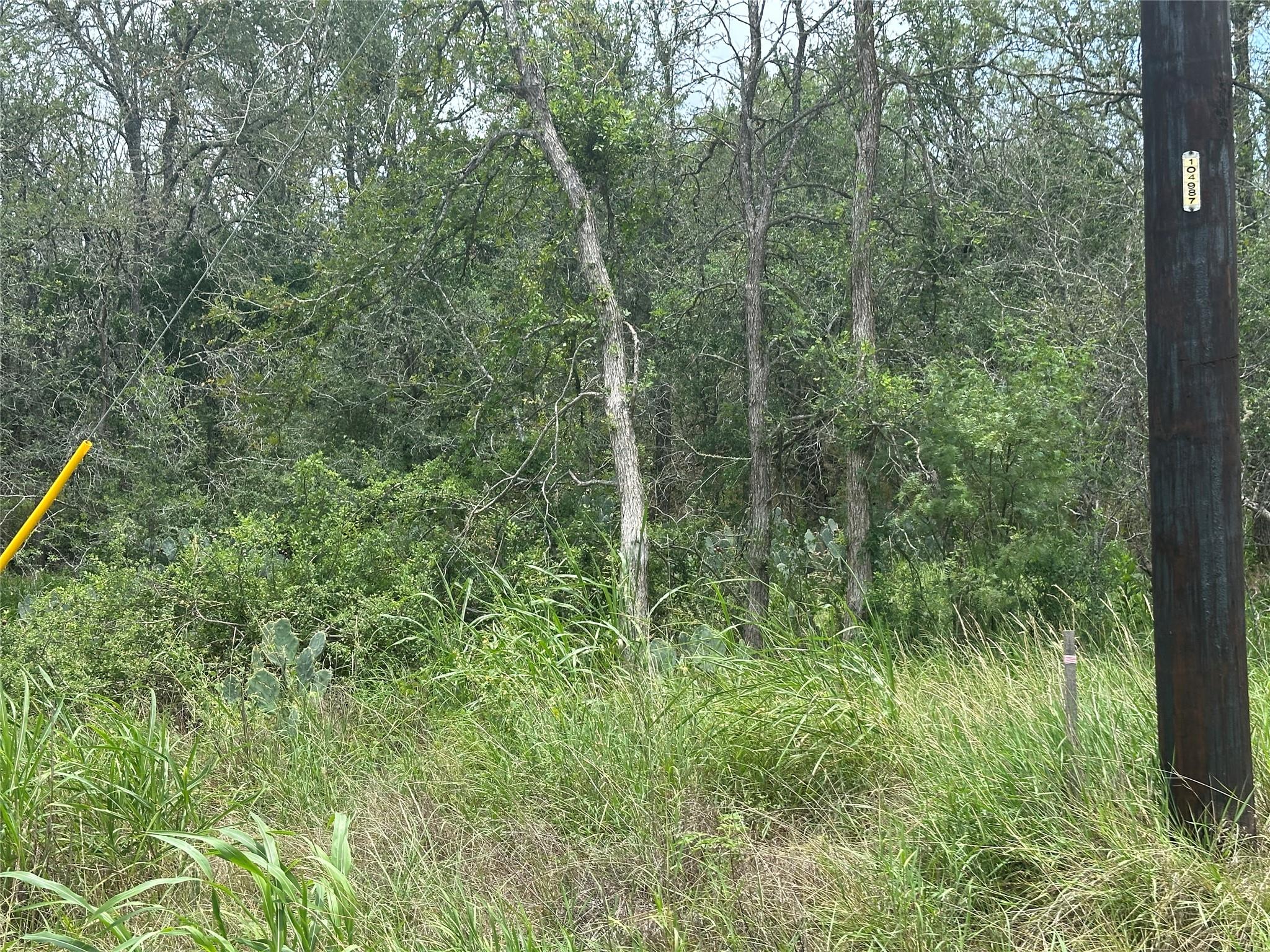 189 Puu Waa Waa LN — photo 4