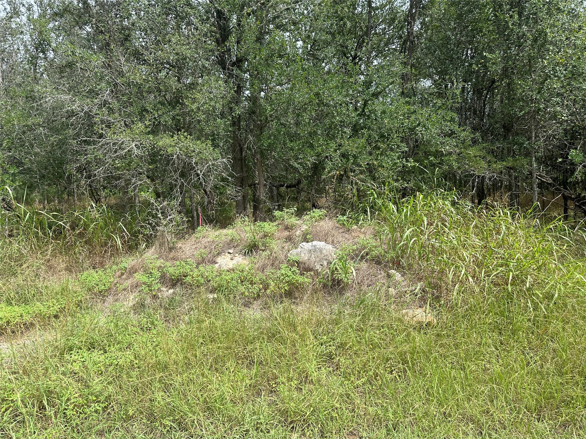 109 Halawa CT — photo 4