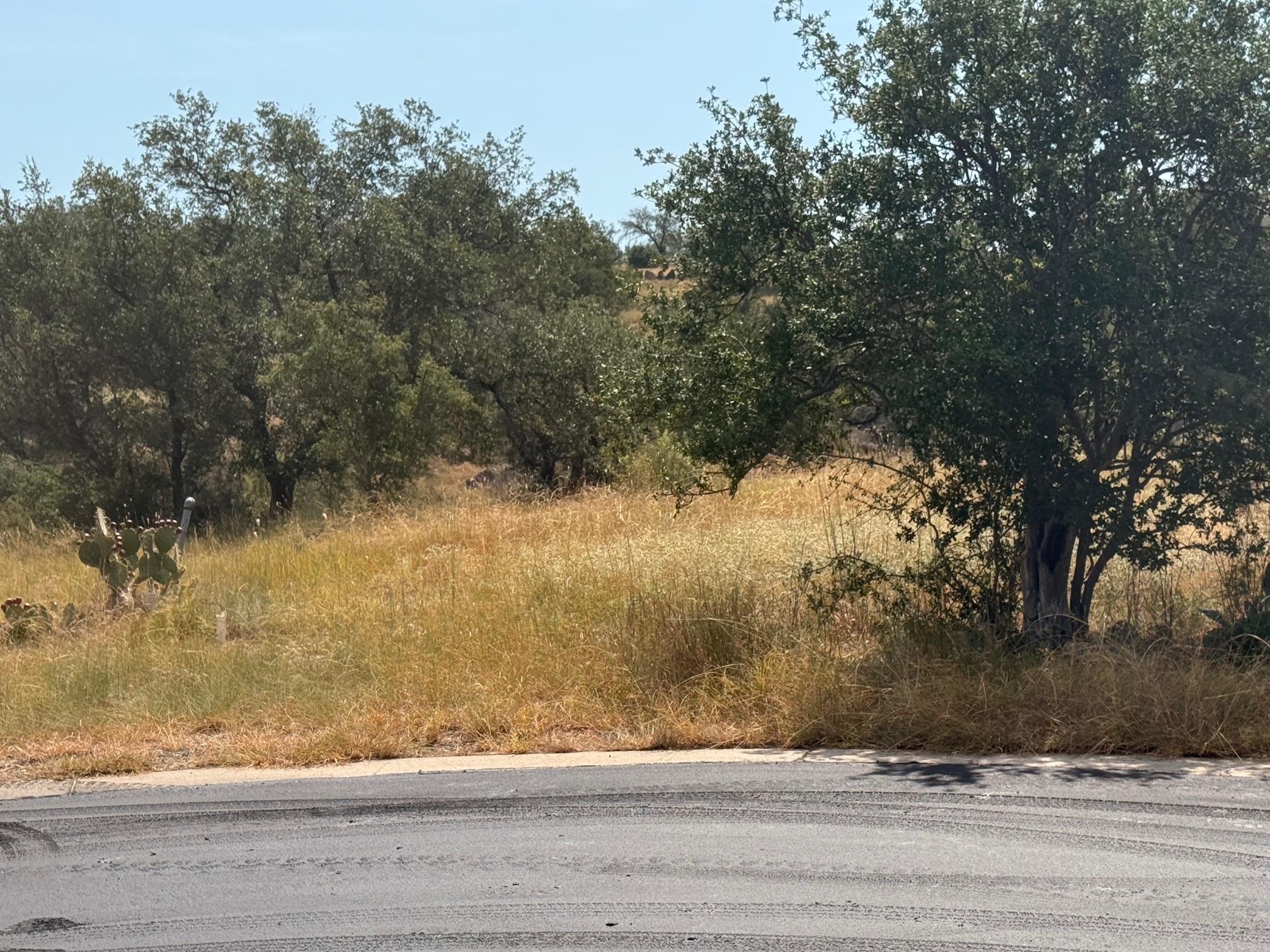 W5009 Up There RD — photo 3
