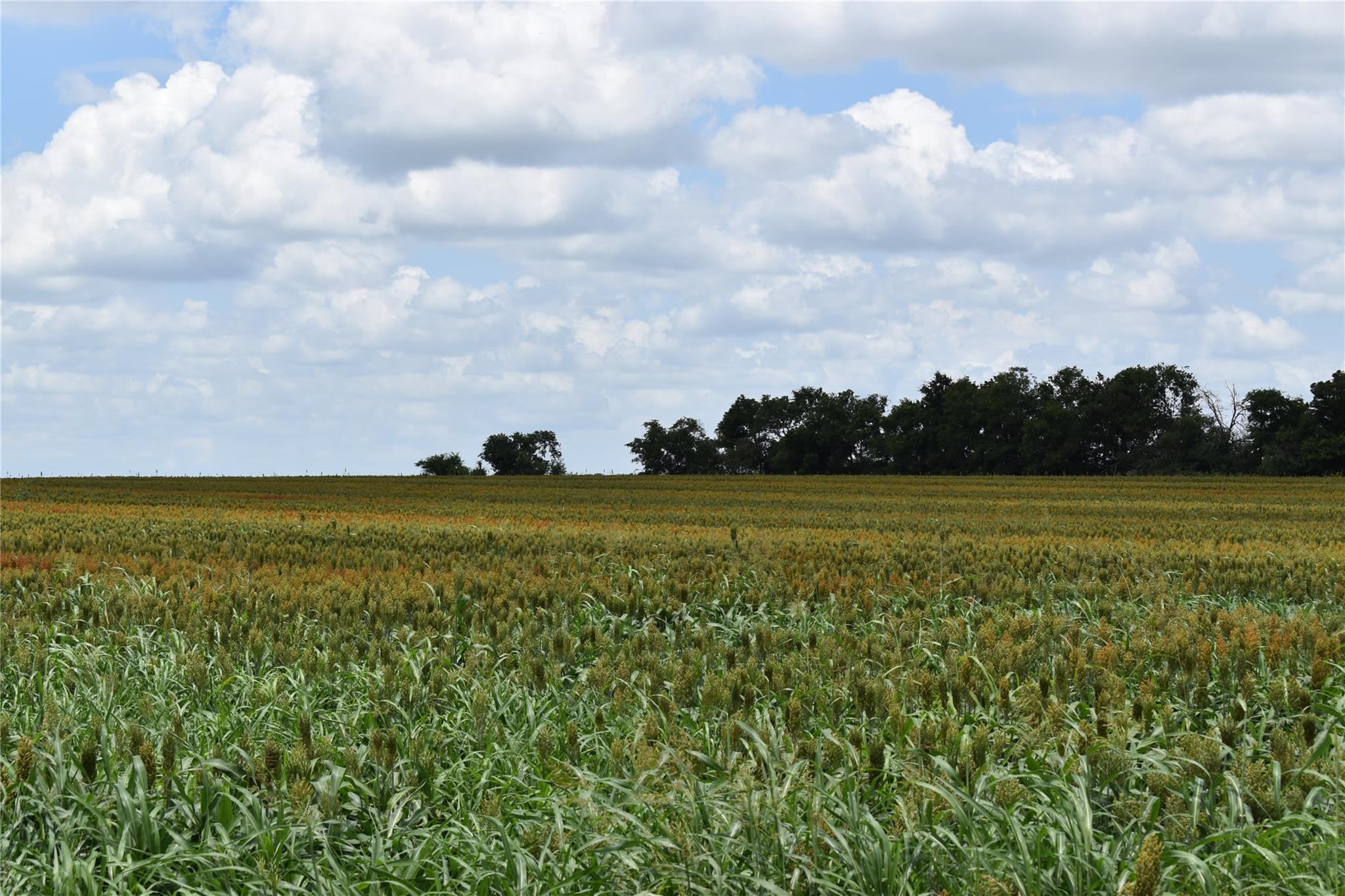 TBD County Road 109 — photo 4