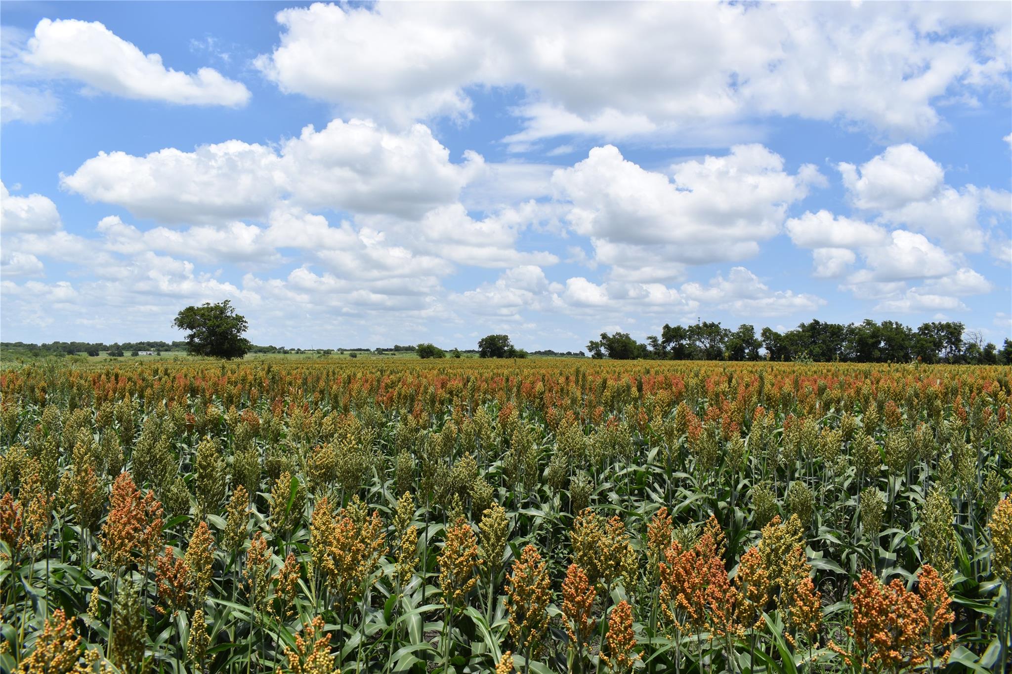 TBD County Road 109 — photo 5