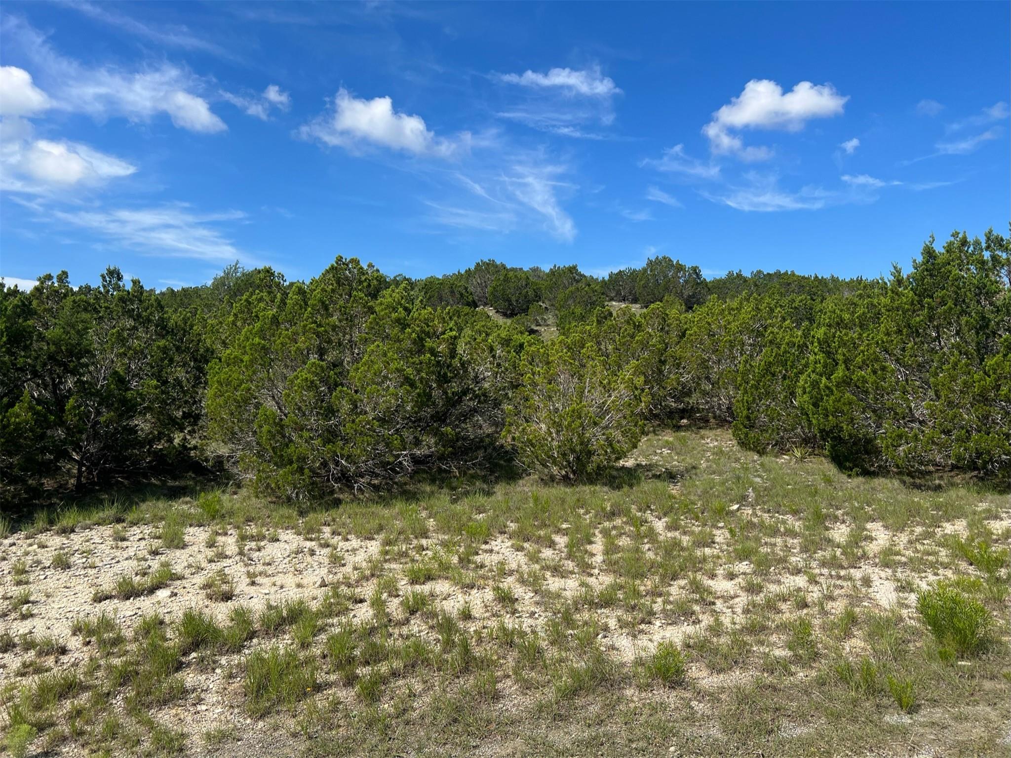 Lot 652 Wagon Wheel TRL — photo 5
