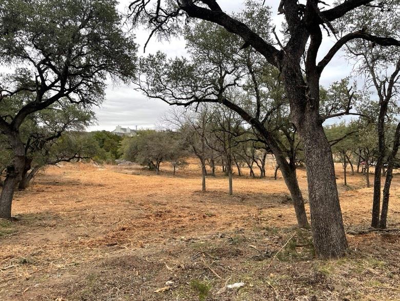 Home in Spicewood