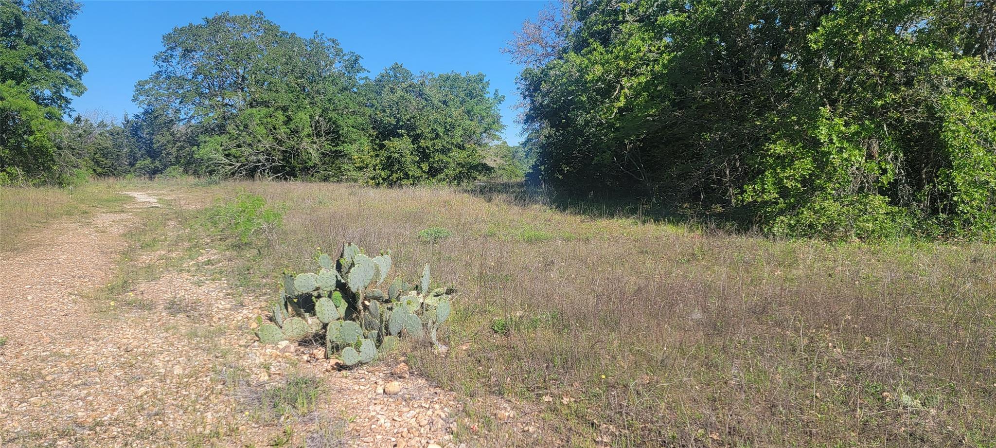 156 Lone Star CIR