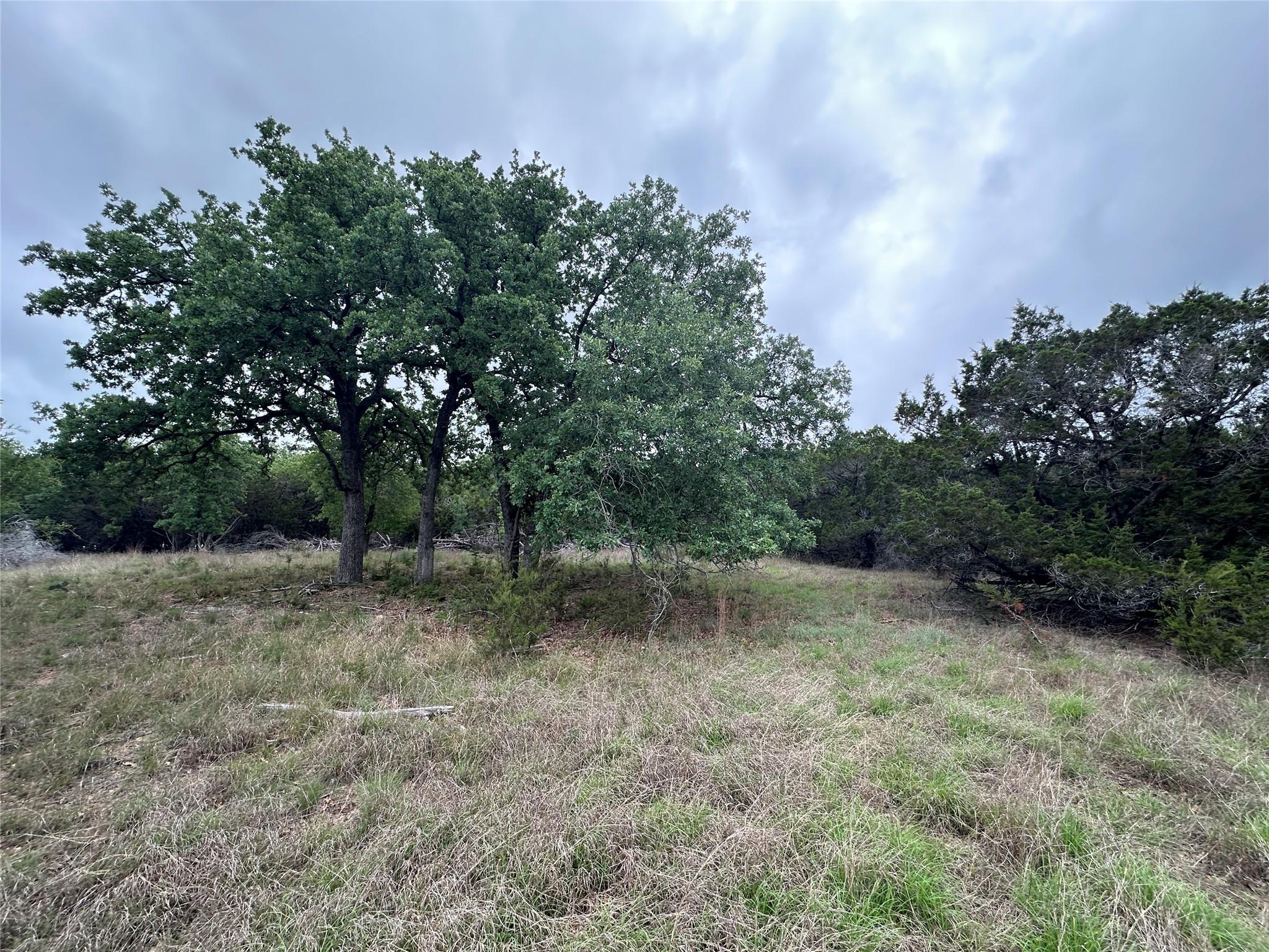 126 Cottonwood DR — photo 4
