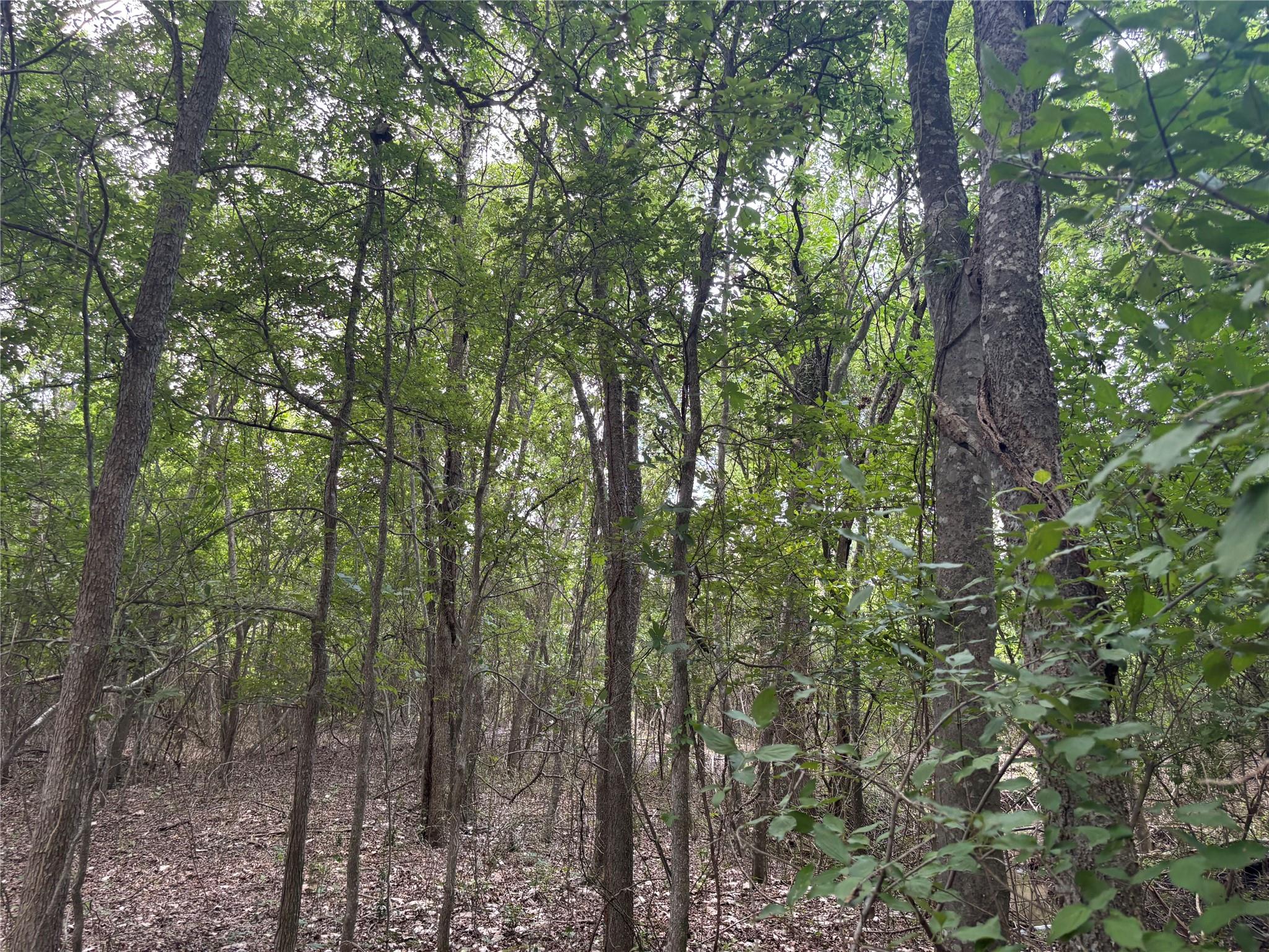1500 Bottoms East RD — photo 3