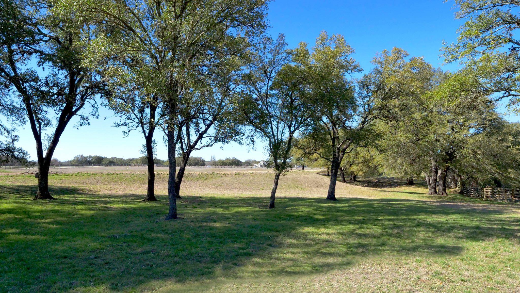 1115 County Road 414 — photo 5