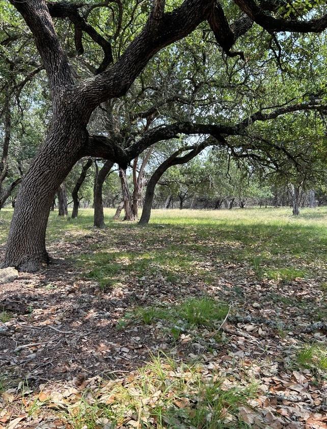 TBD Old Red Ranch RD — photo 3