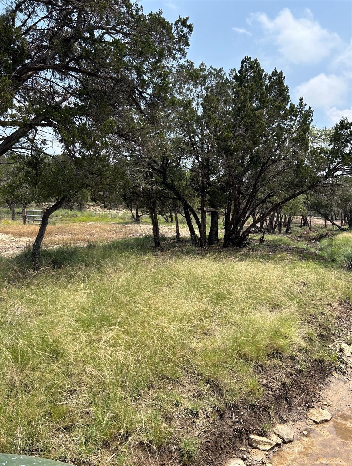 TBD Old Red Ranch RD — photo 4