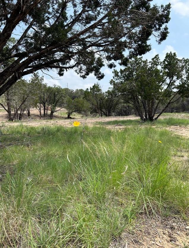 TBD Old Red Ranch RD — photo 5