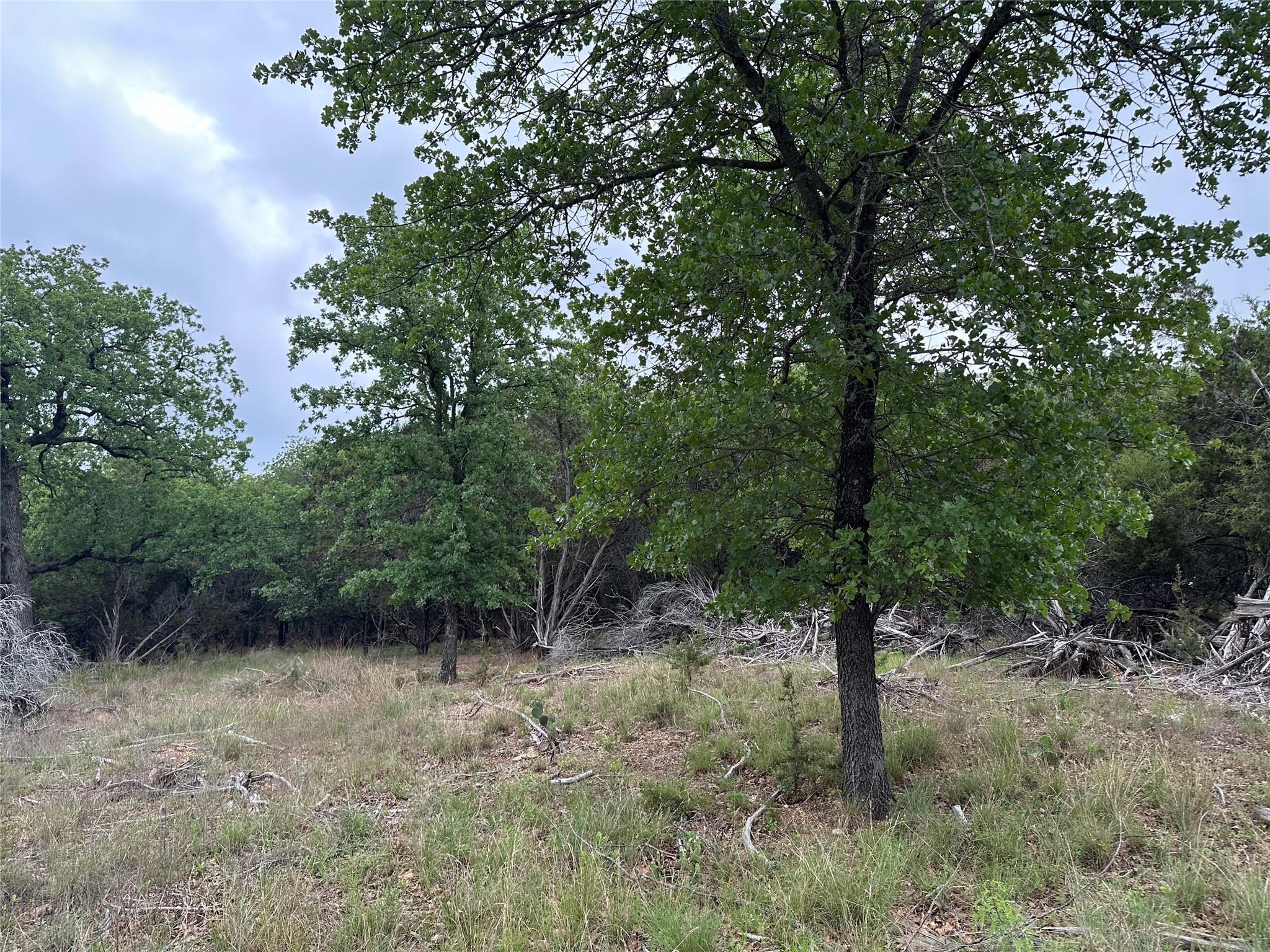 125 Hillcrest DR — photo 5