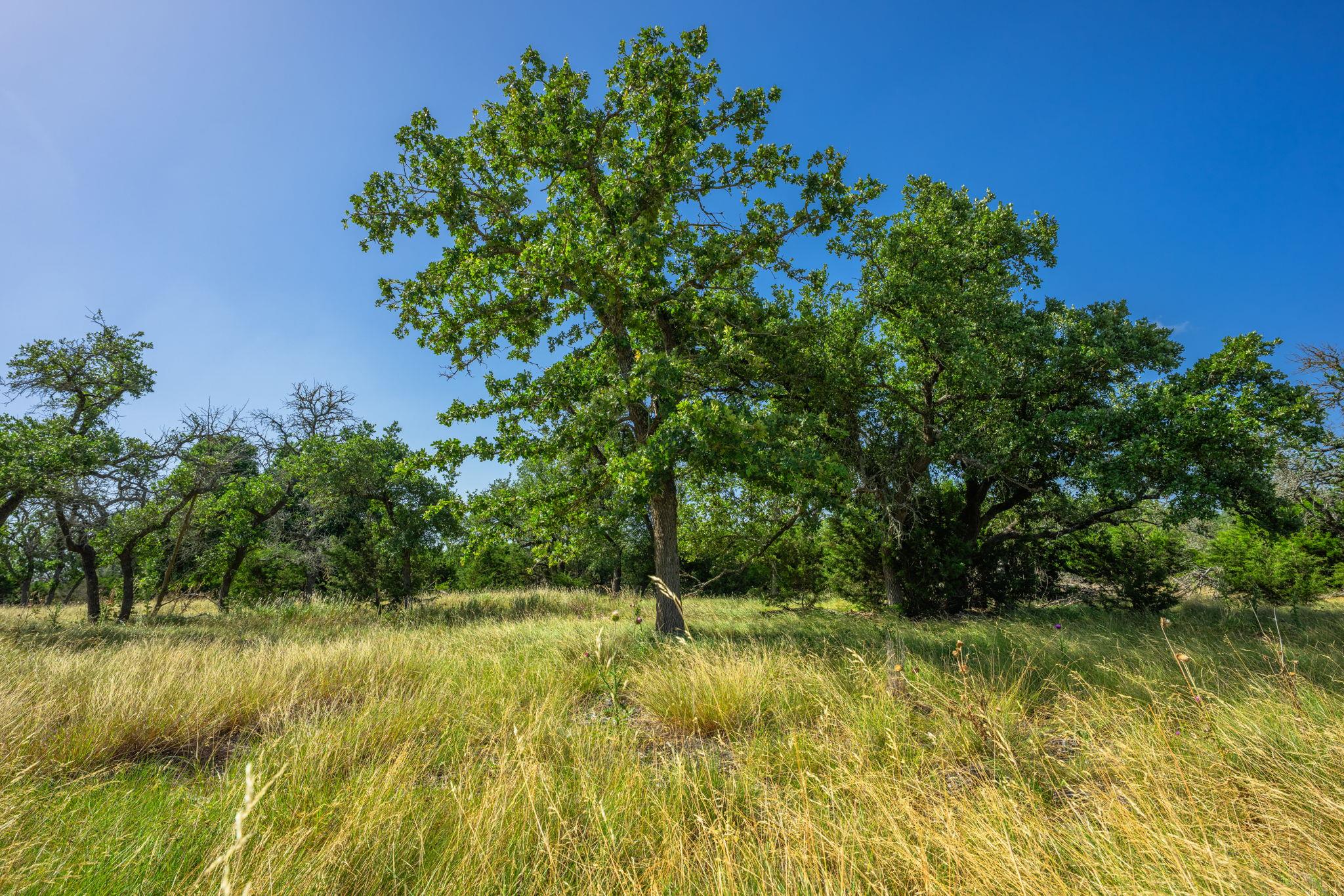 00 Hideout Ranch Lot 7 — photo 3