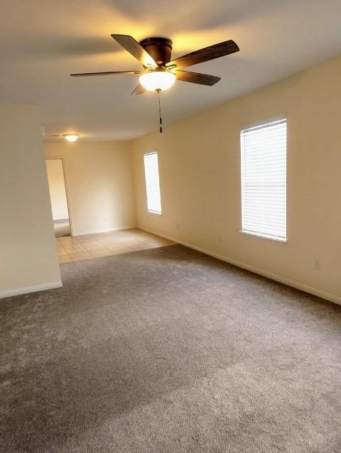 519 Hutchison ST #C — photo 5