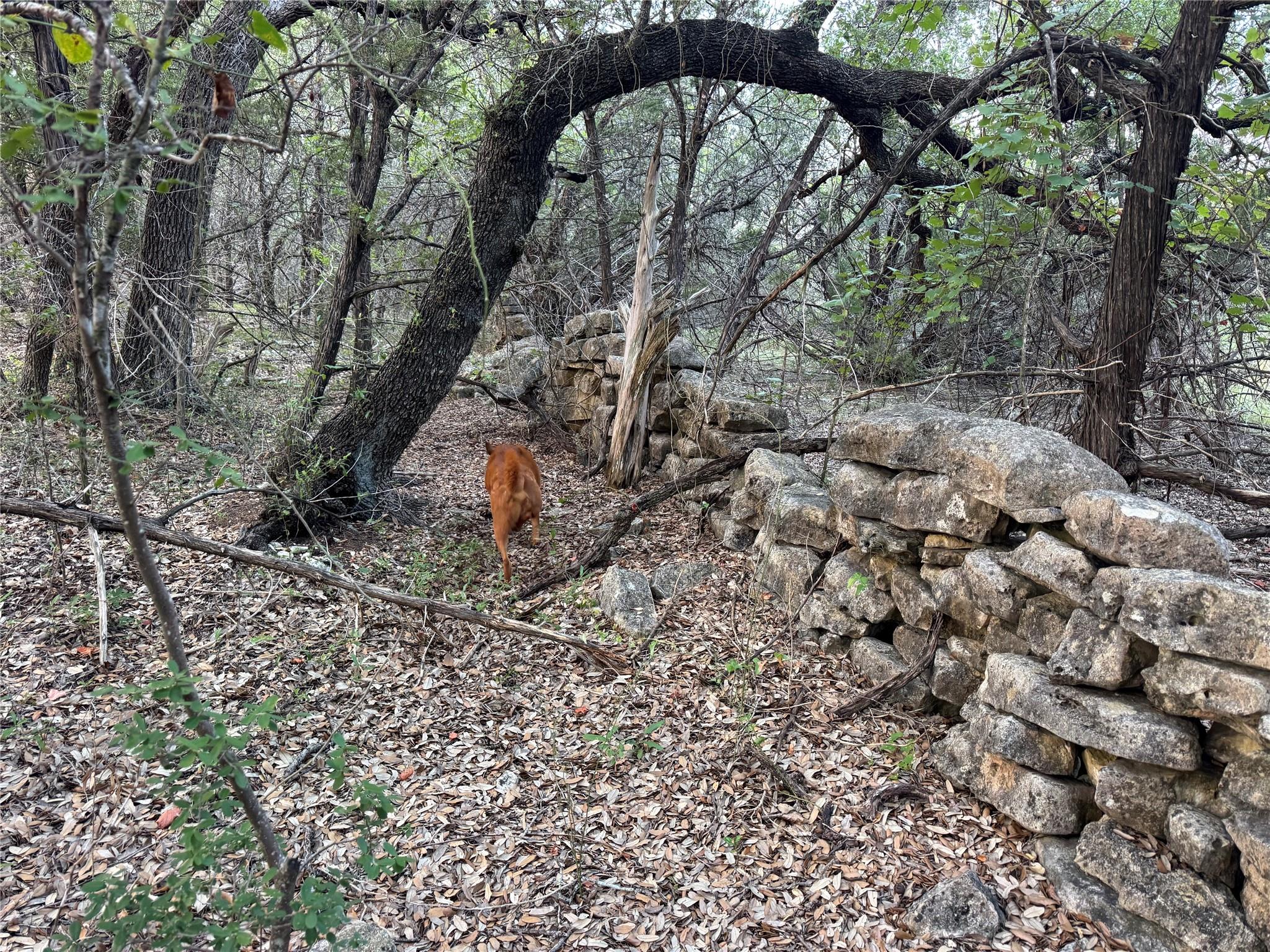 0000 Round Mountain RD — photo 3
