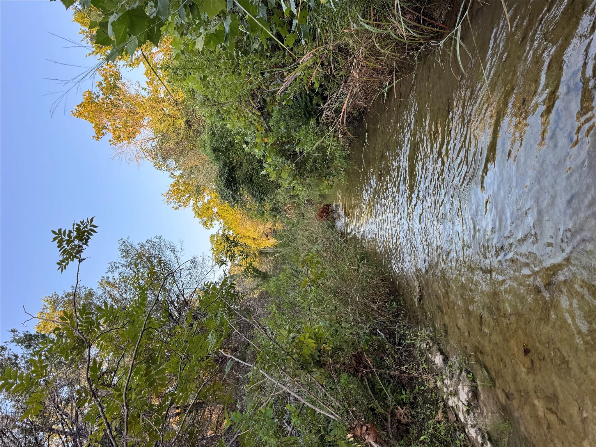 0000 Round Mountain RD — photo 5