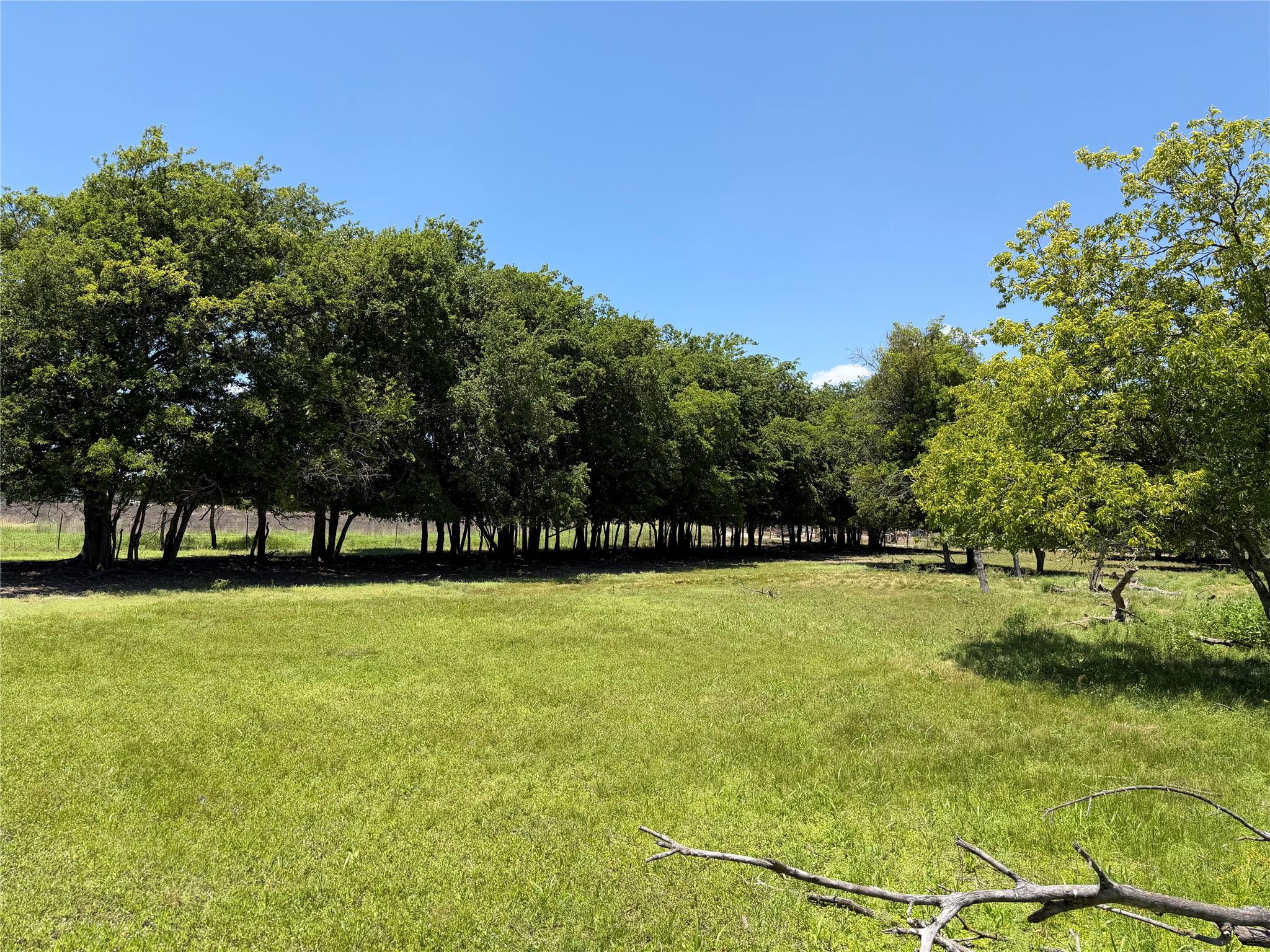 TBD County Road 306 RD — photo 4